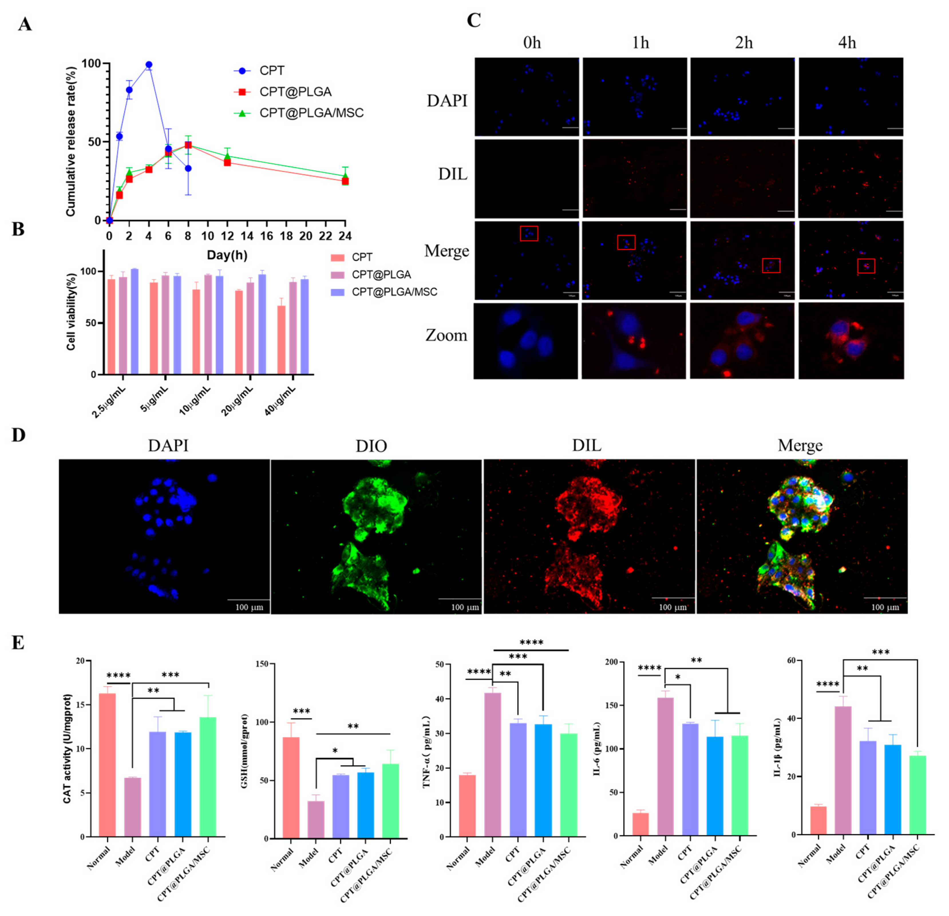 Pharmaceutics 15 02764 g005