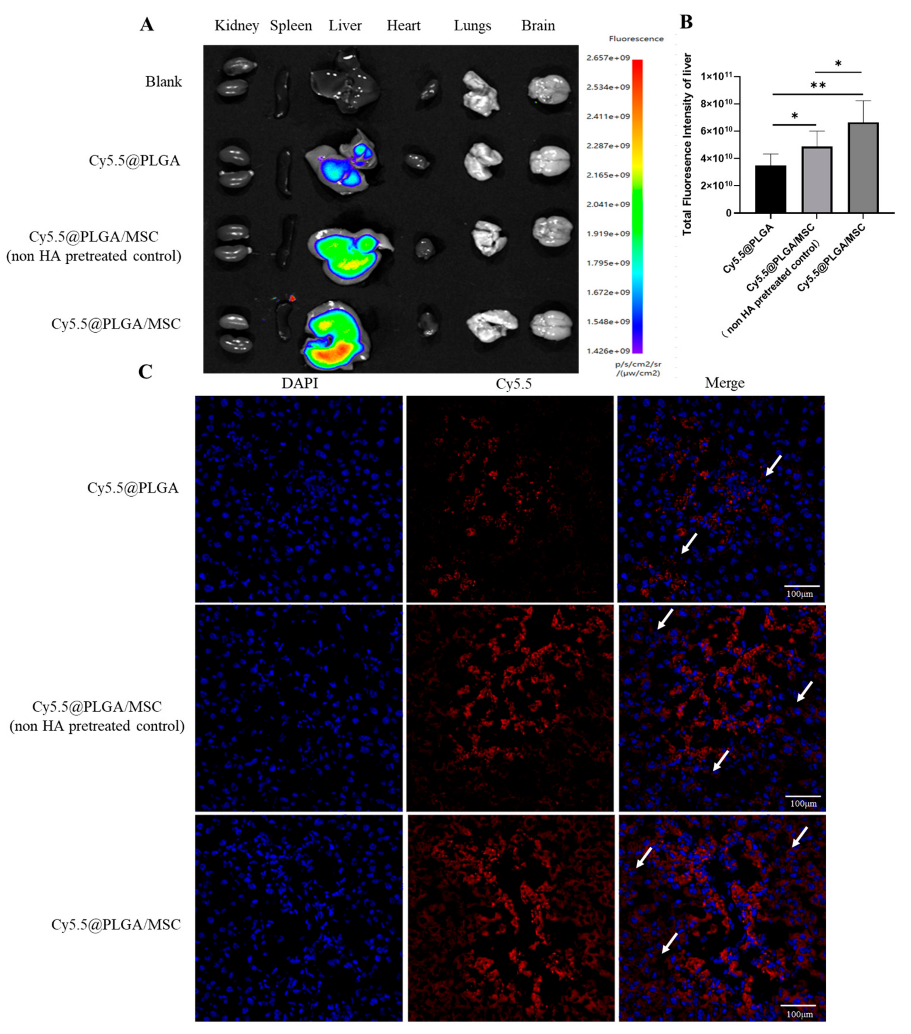 Pharmaceutics 15 02764 g006