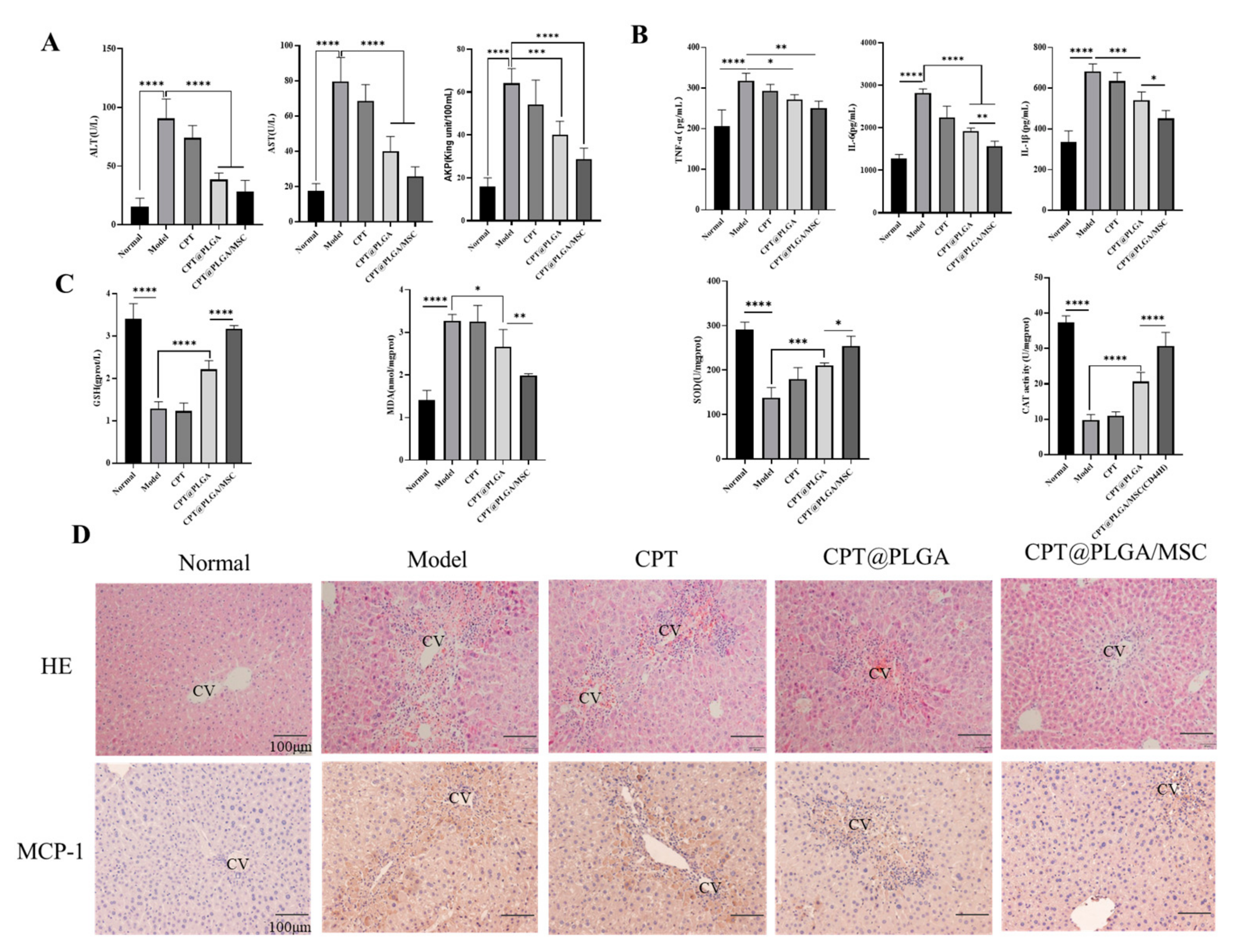 Pharmaceutics 15 02764 g007