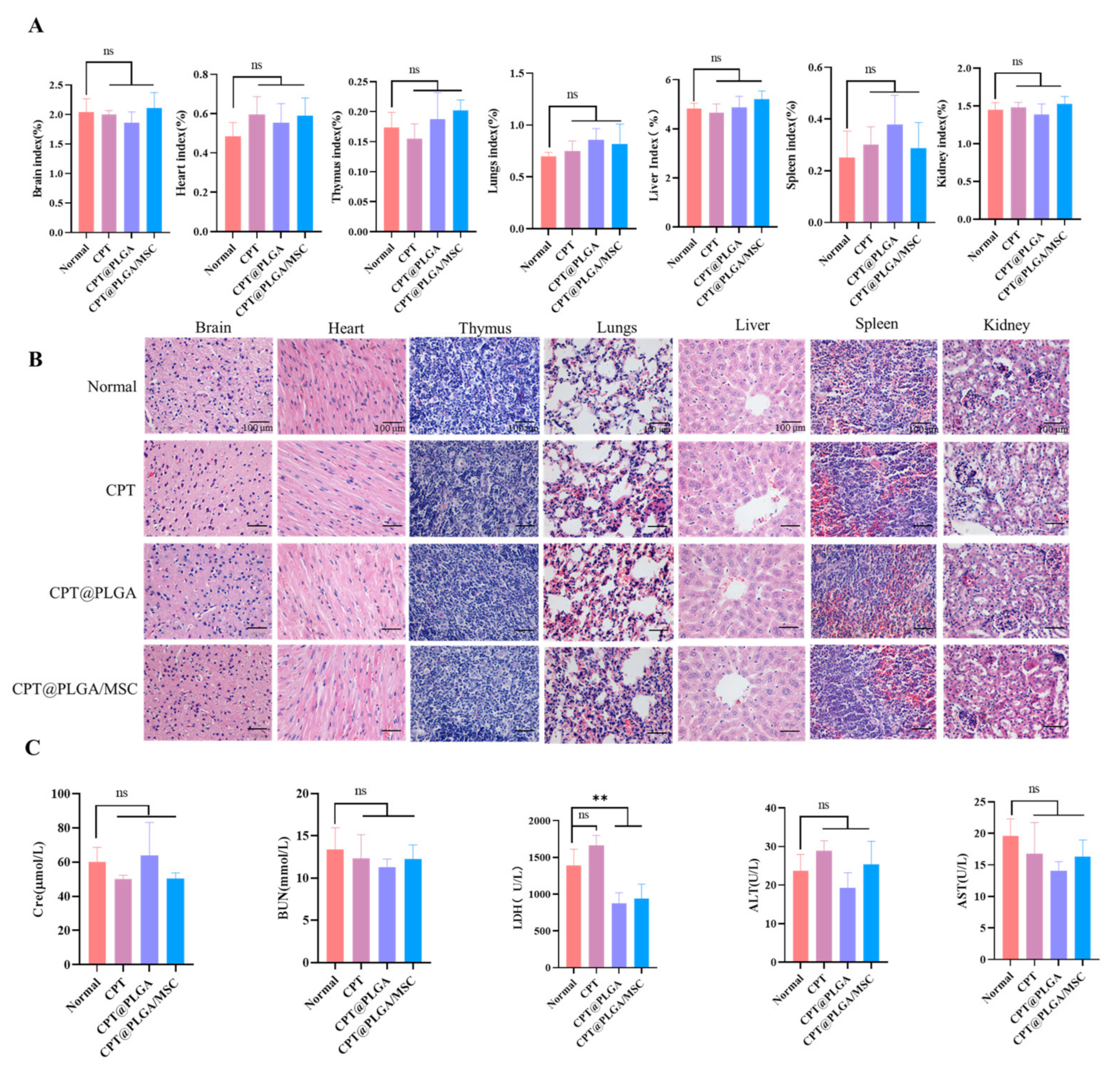 Pharmaceutics 15 02764 g008