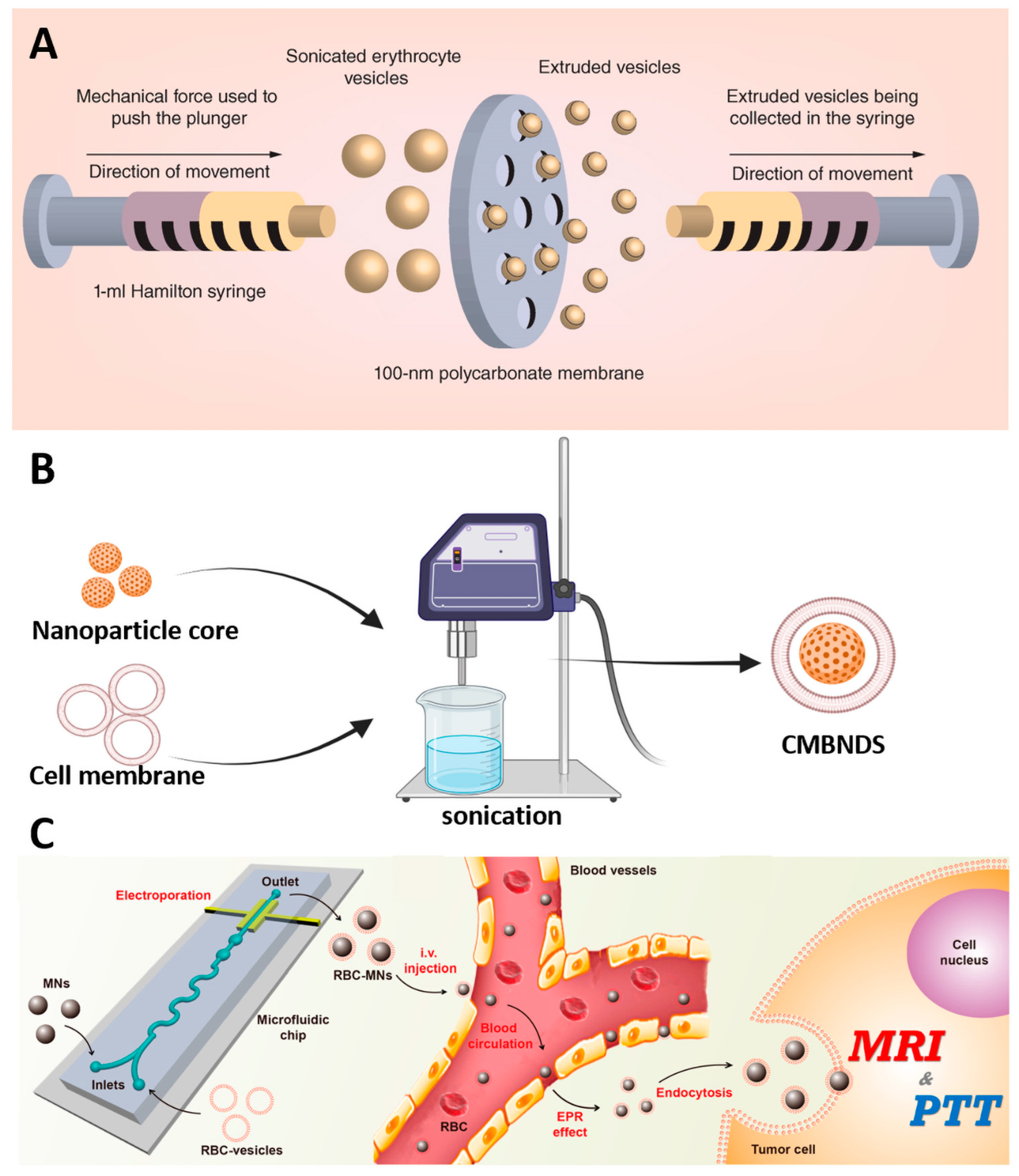 Pharmaceutics 15 02770 g001