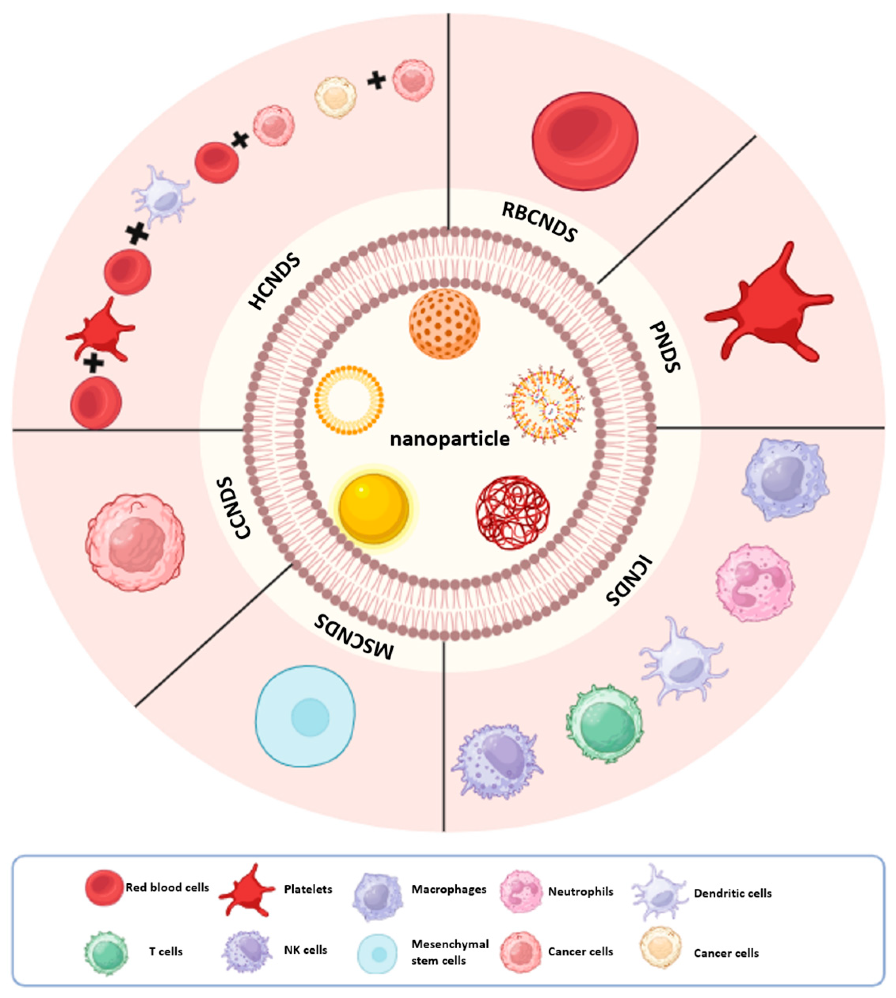 Pharmaceutics 15 02770 g003