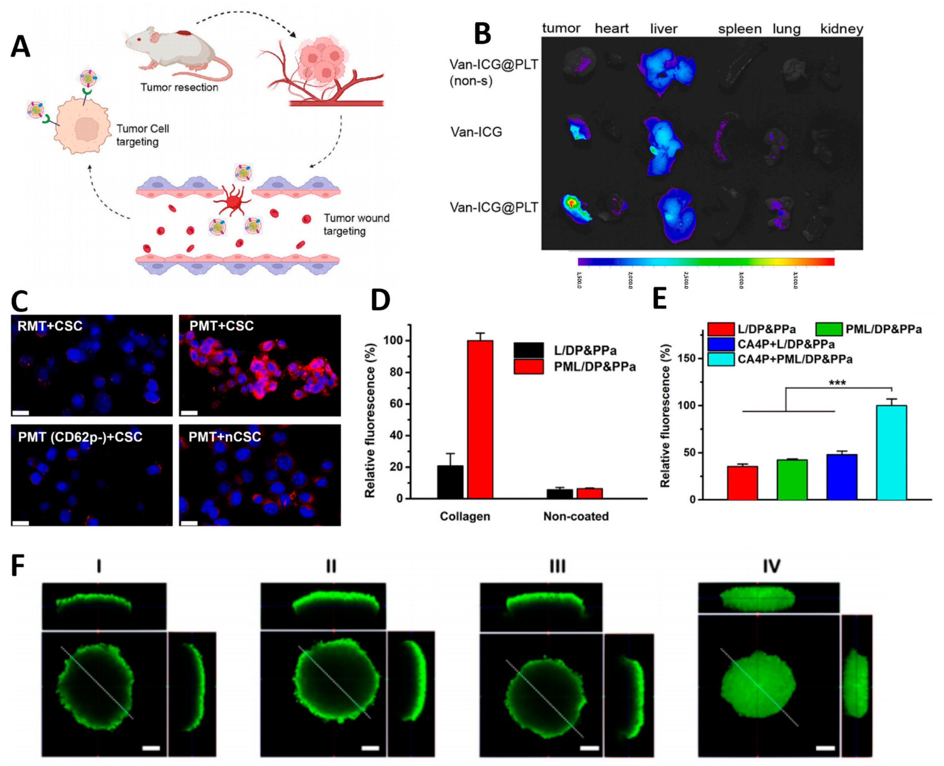Pharmaceutics 15 02770 g005