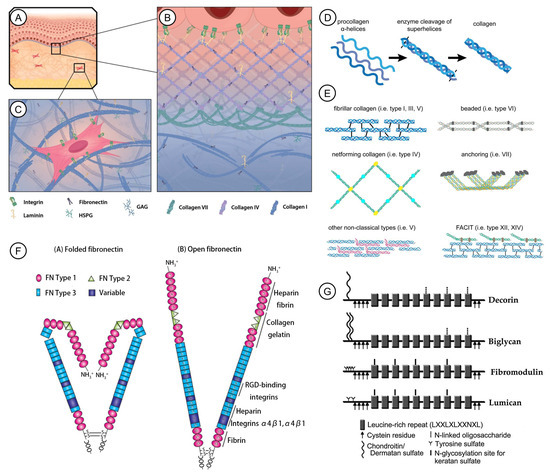 Pharmaceutics 15 02771 g001