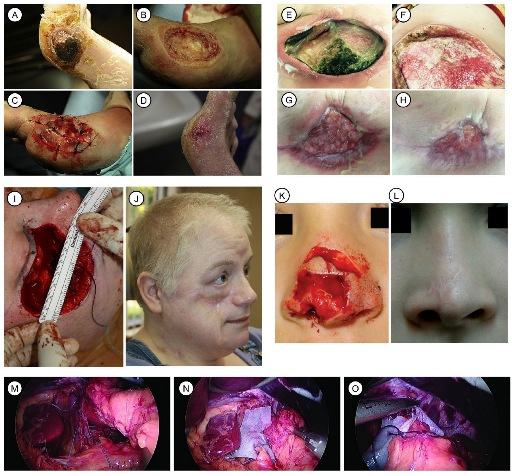 Pharmaceutics 15 02771 g004