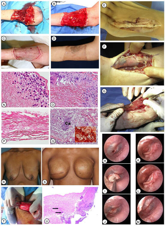 Pharmaceutics 15 02771 g005
