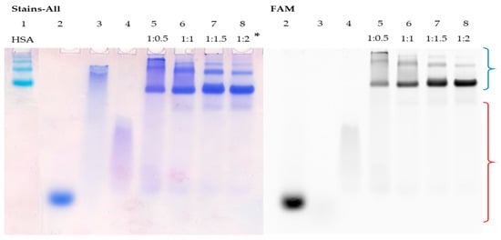 Pharmaceutics 15 02779 g004