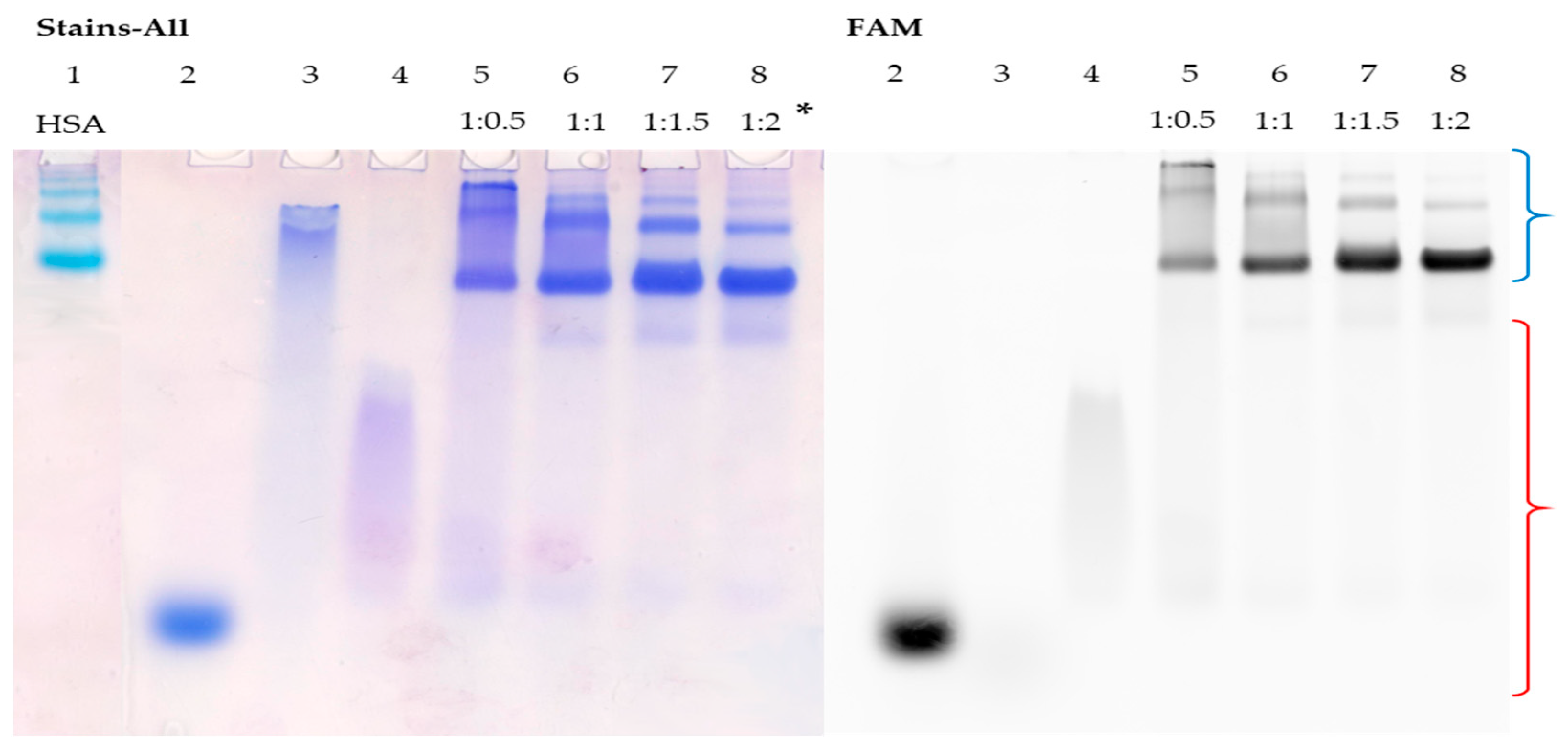 Pharmaceutics 15 02779 g004