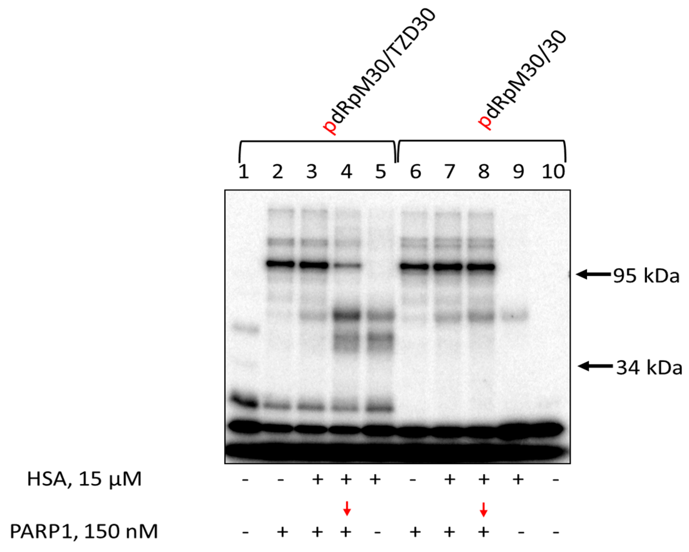 Pharmaceutics 15 02779 g008