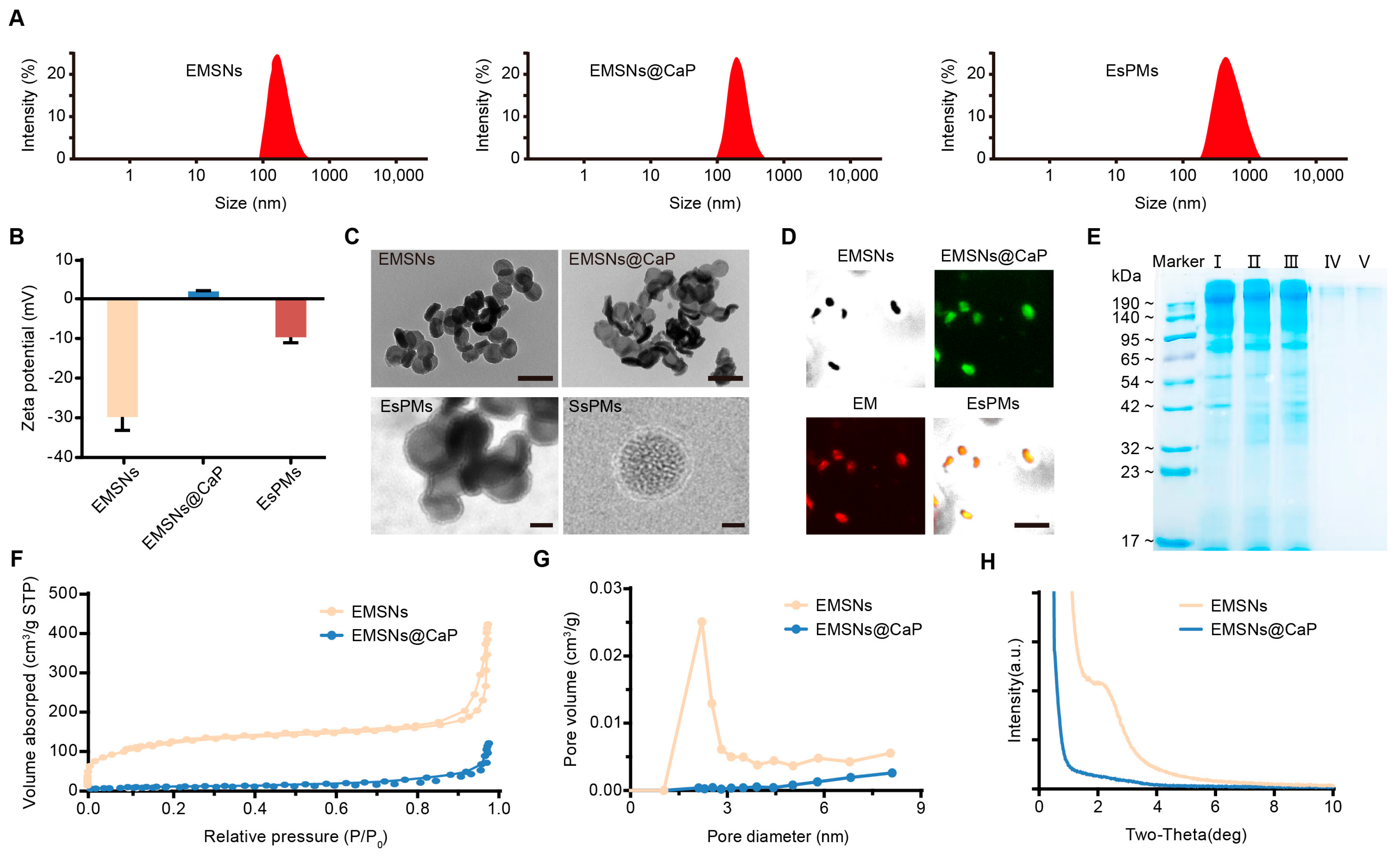 Pharmaceutics 15 02785 g001