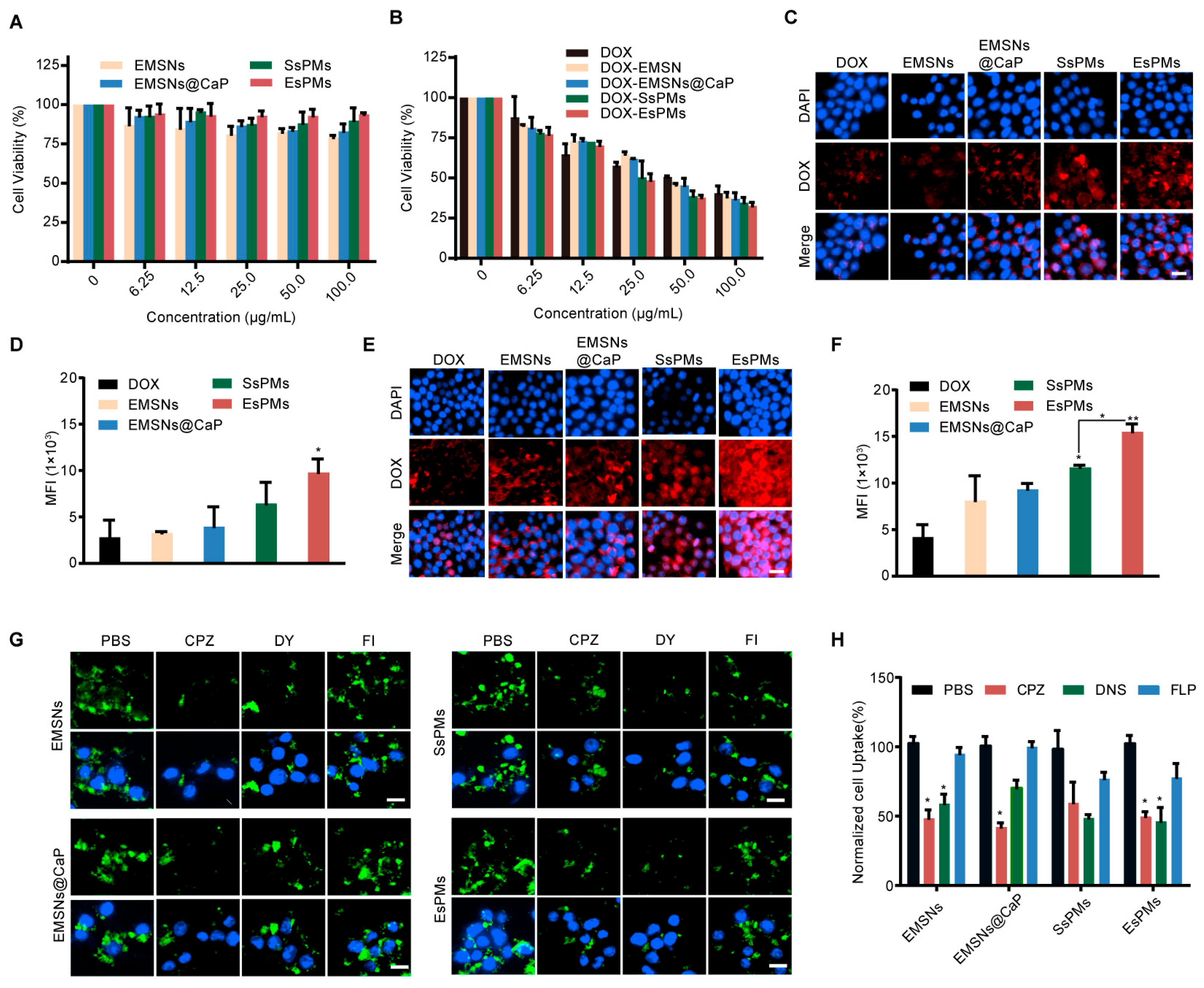 Pharmaceutics 15 02785 g005
