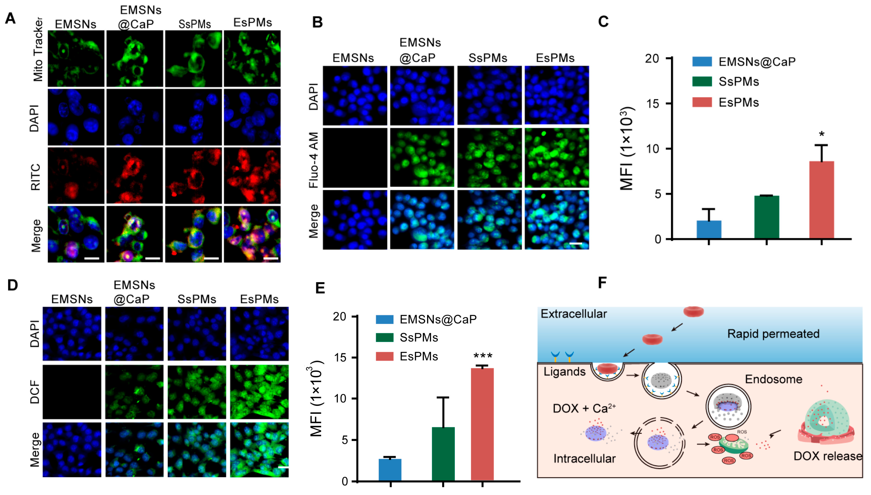 Pharmaceutics 15 02785 g006