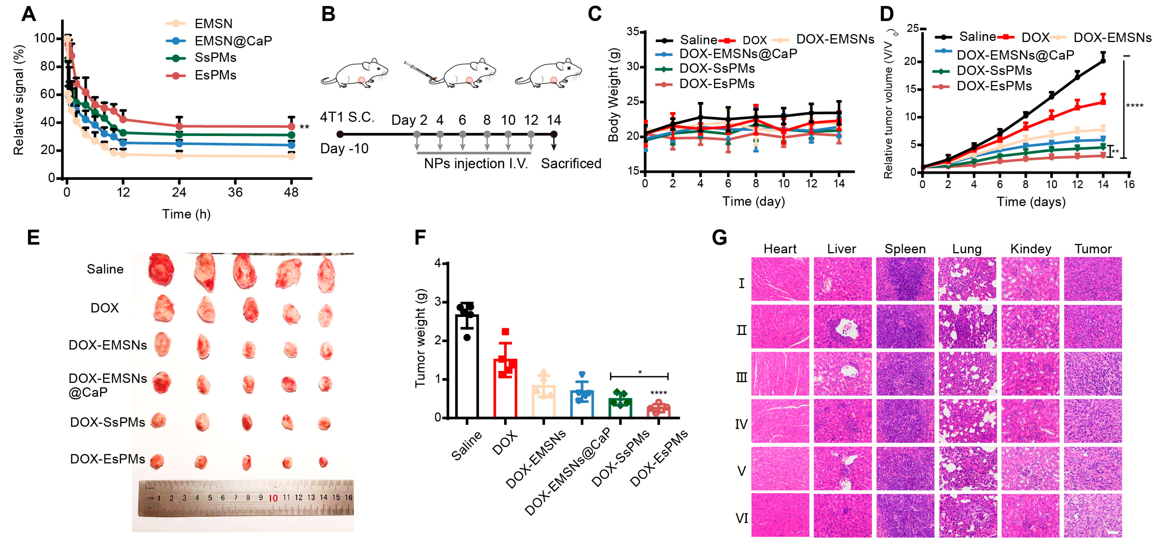 Pharmaceutics 15 02785 g007
