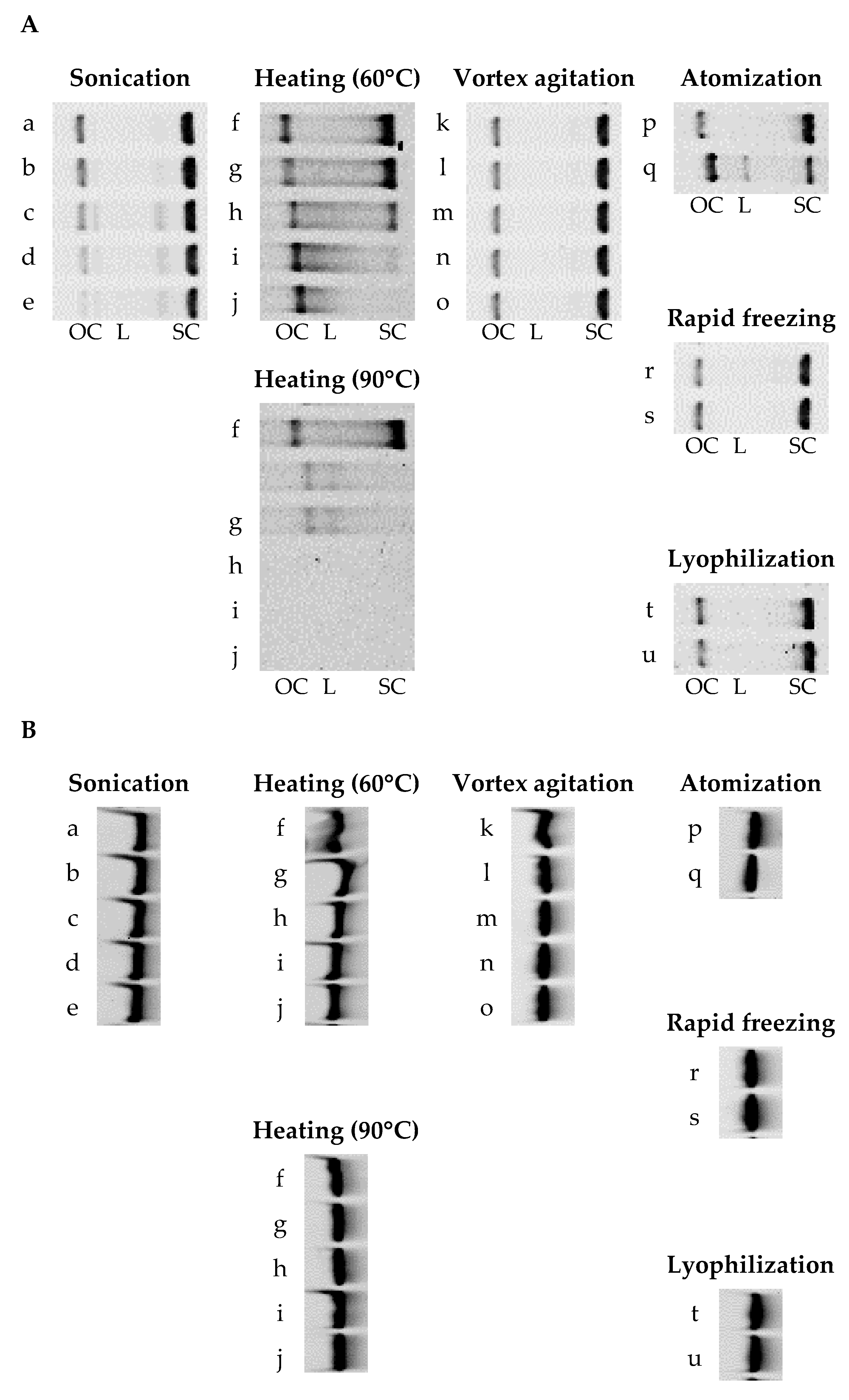 Pharmaceutics 15 02786 g001