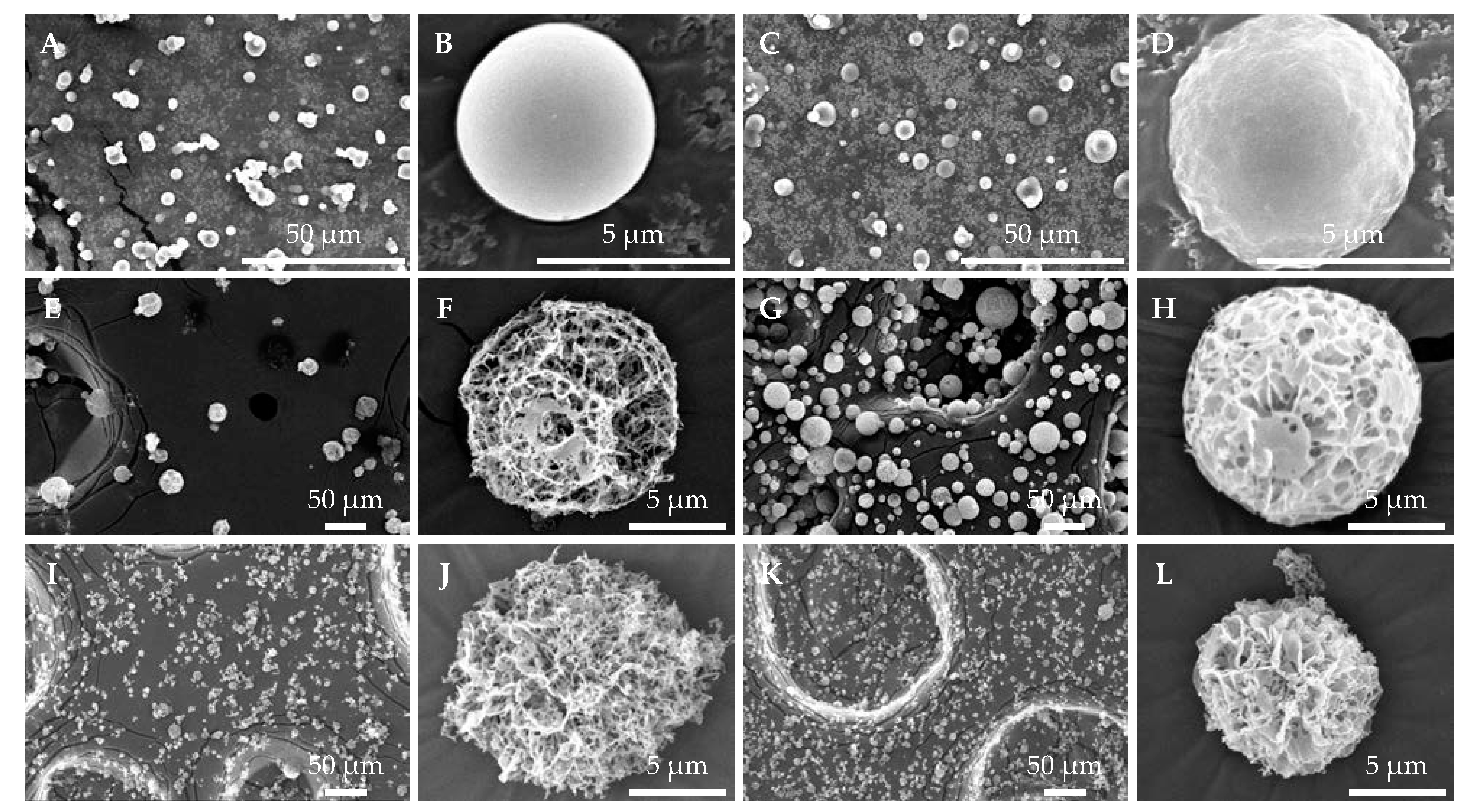 Pharmaceutics 15 02786 g005