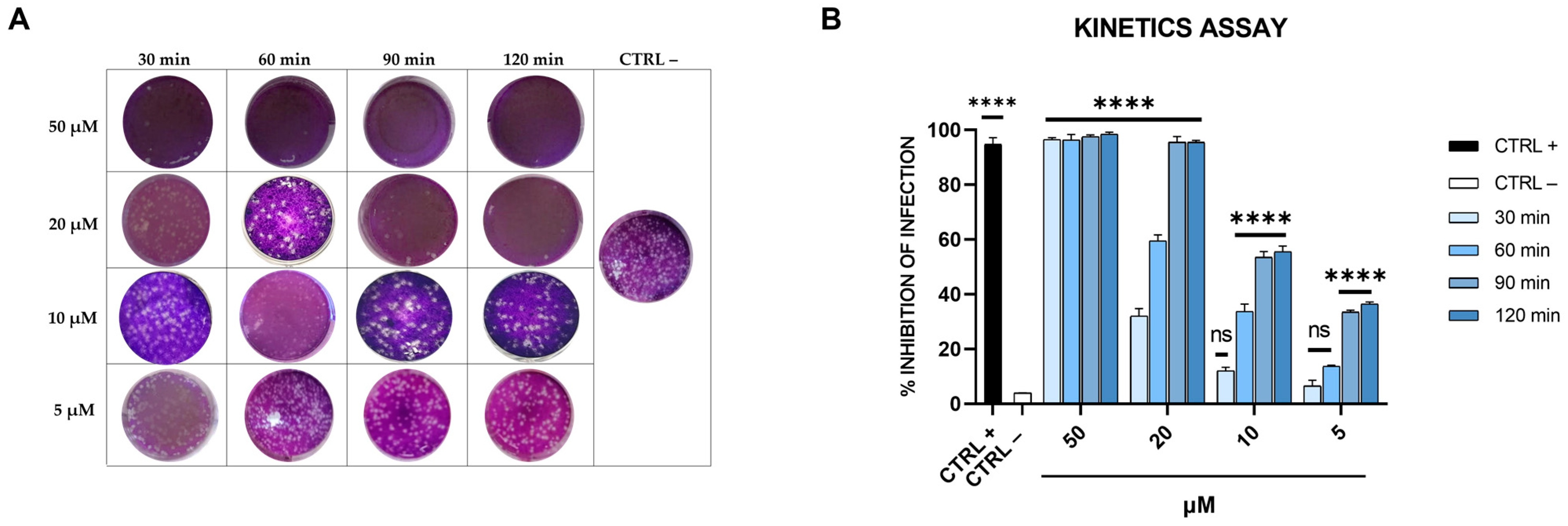 Pharmaceutics 15 02791 g004