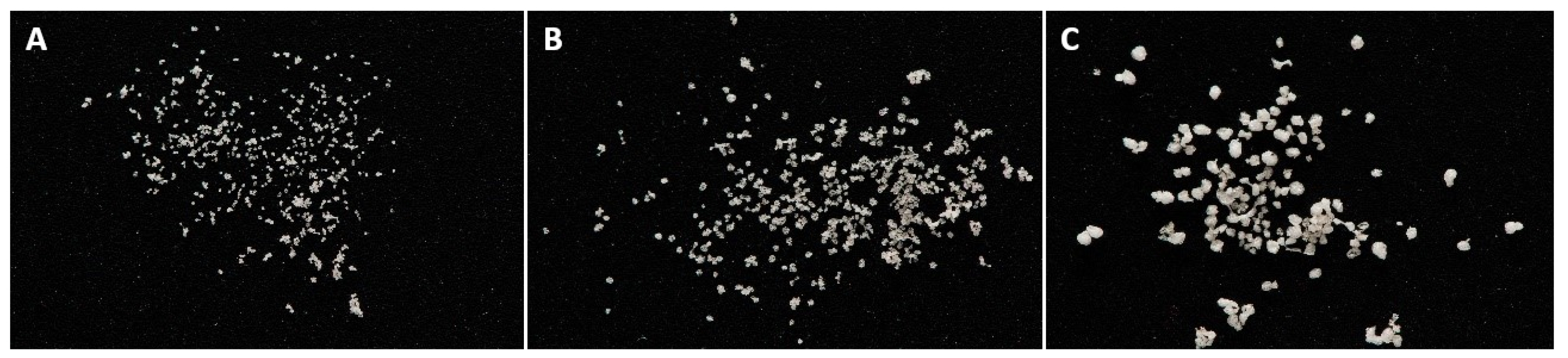 Pharmaceutics 15 02792 g002