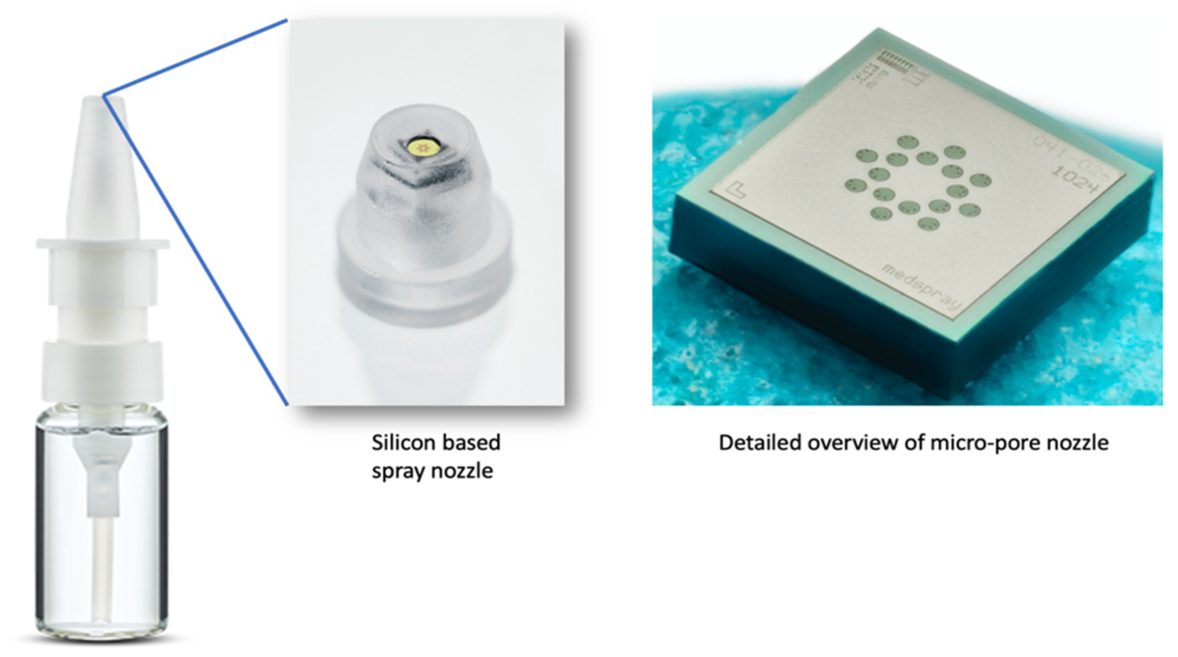Pharmaceutics 16 00002 g002