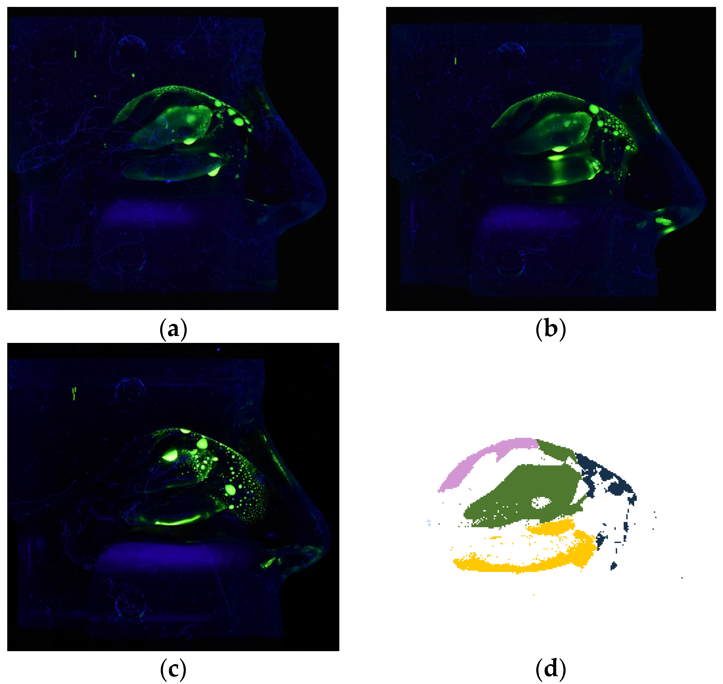 Pharmaceutics 16 00002 g006