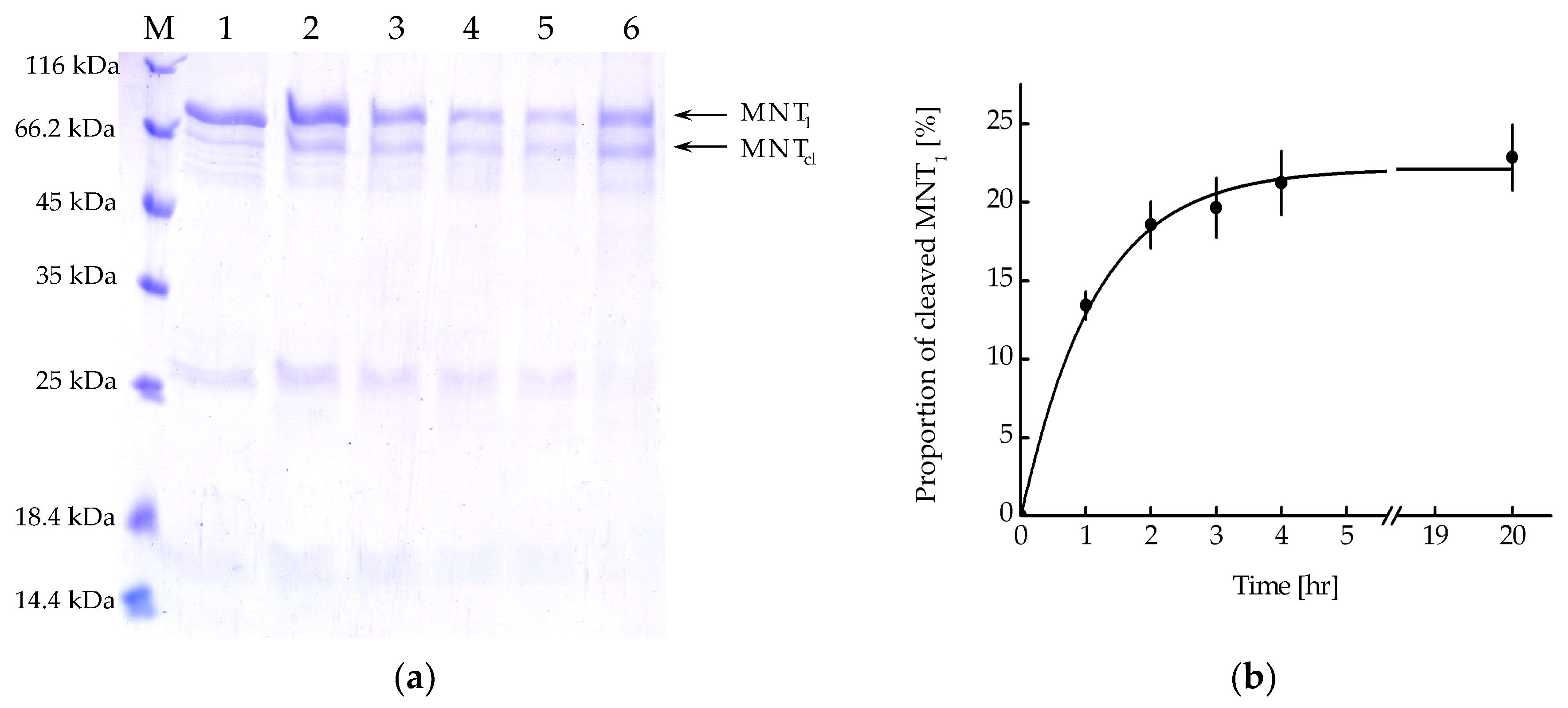 Pharmaceutics 16 00004 g005 Pharmaceutics 16 00004 g005