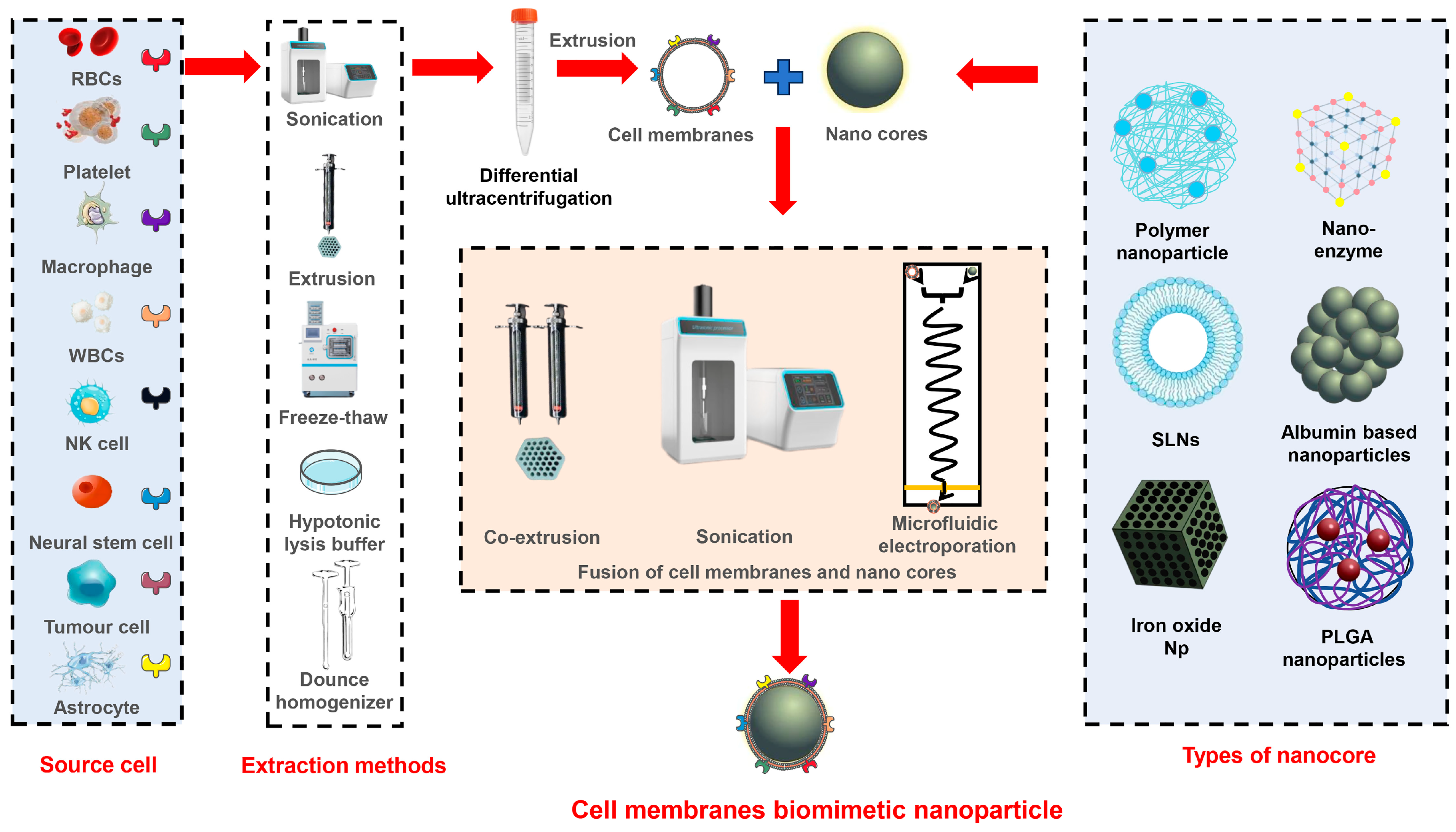 Pharmaceutics 16 00006 g001