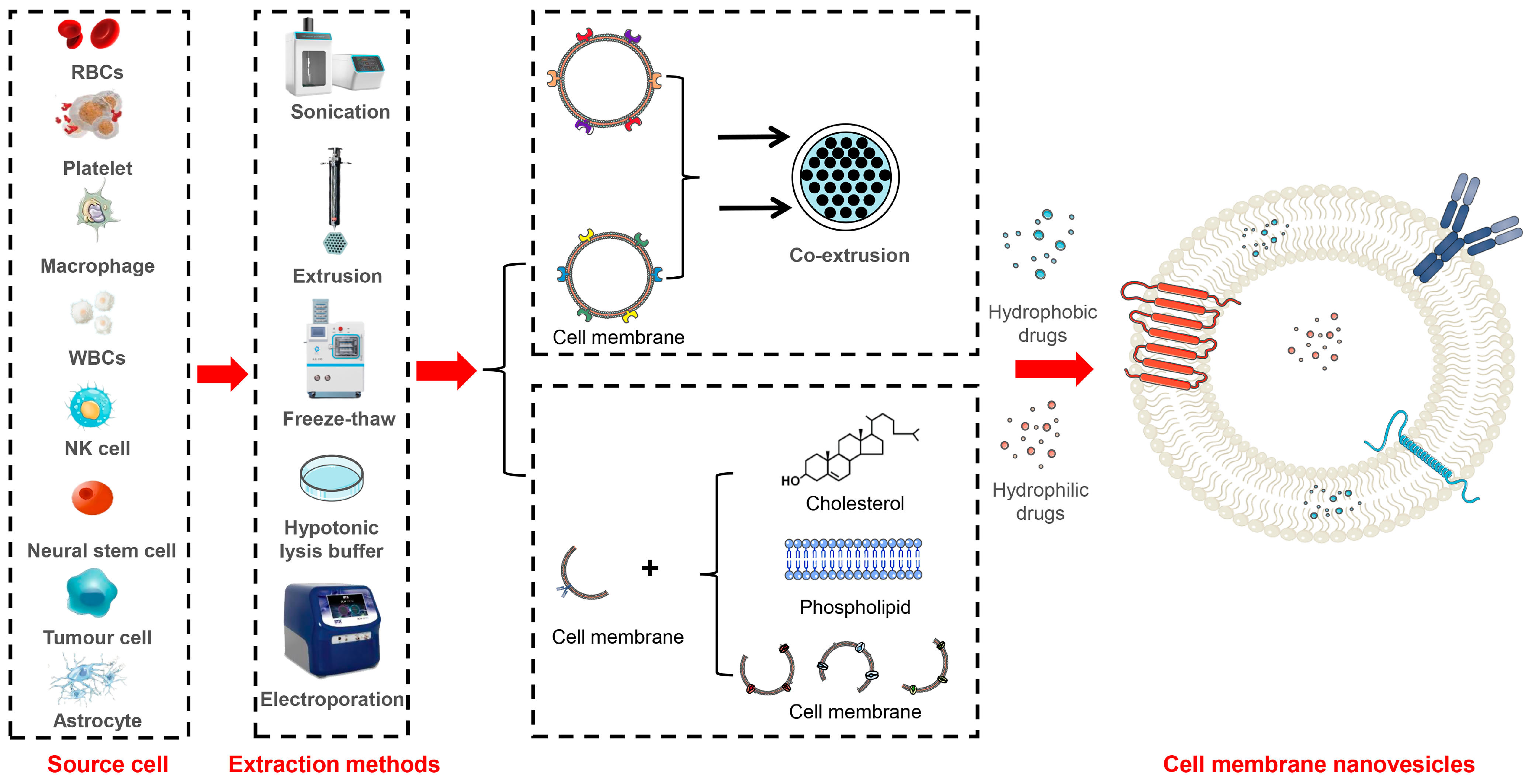 Pharmaceutics 16 00006 g002