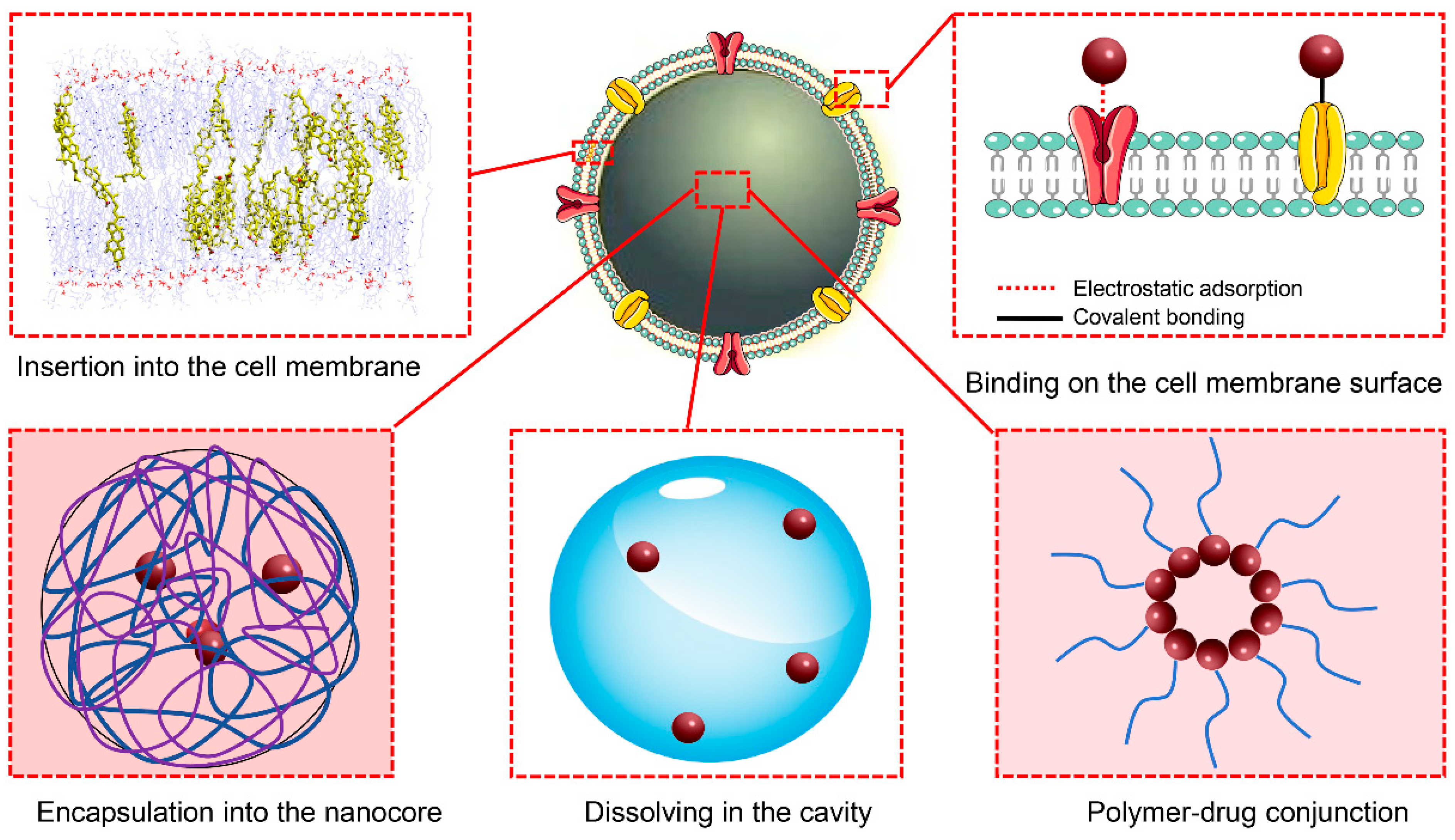 Pharmaceutics 16 00006 g003