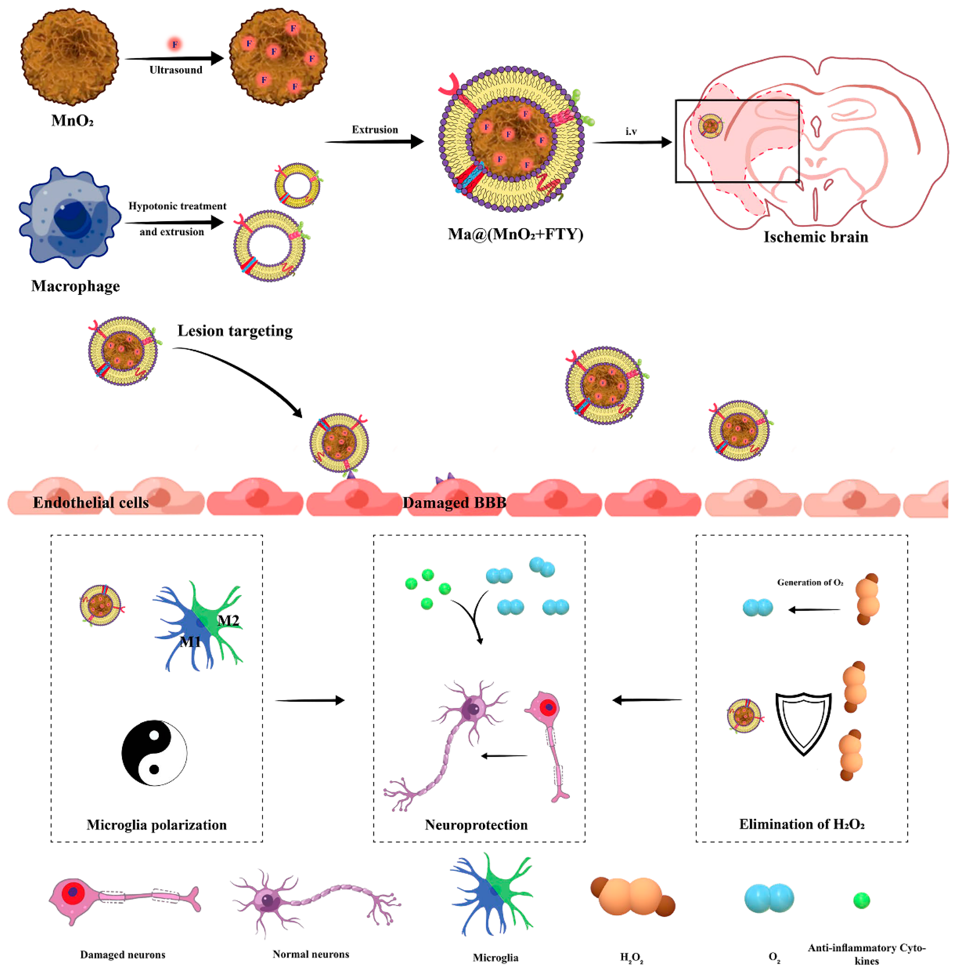 Pharmaceutics 16 00006 g007