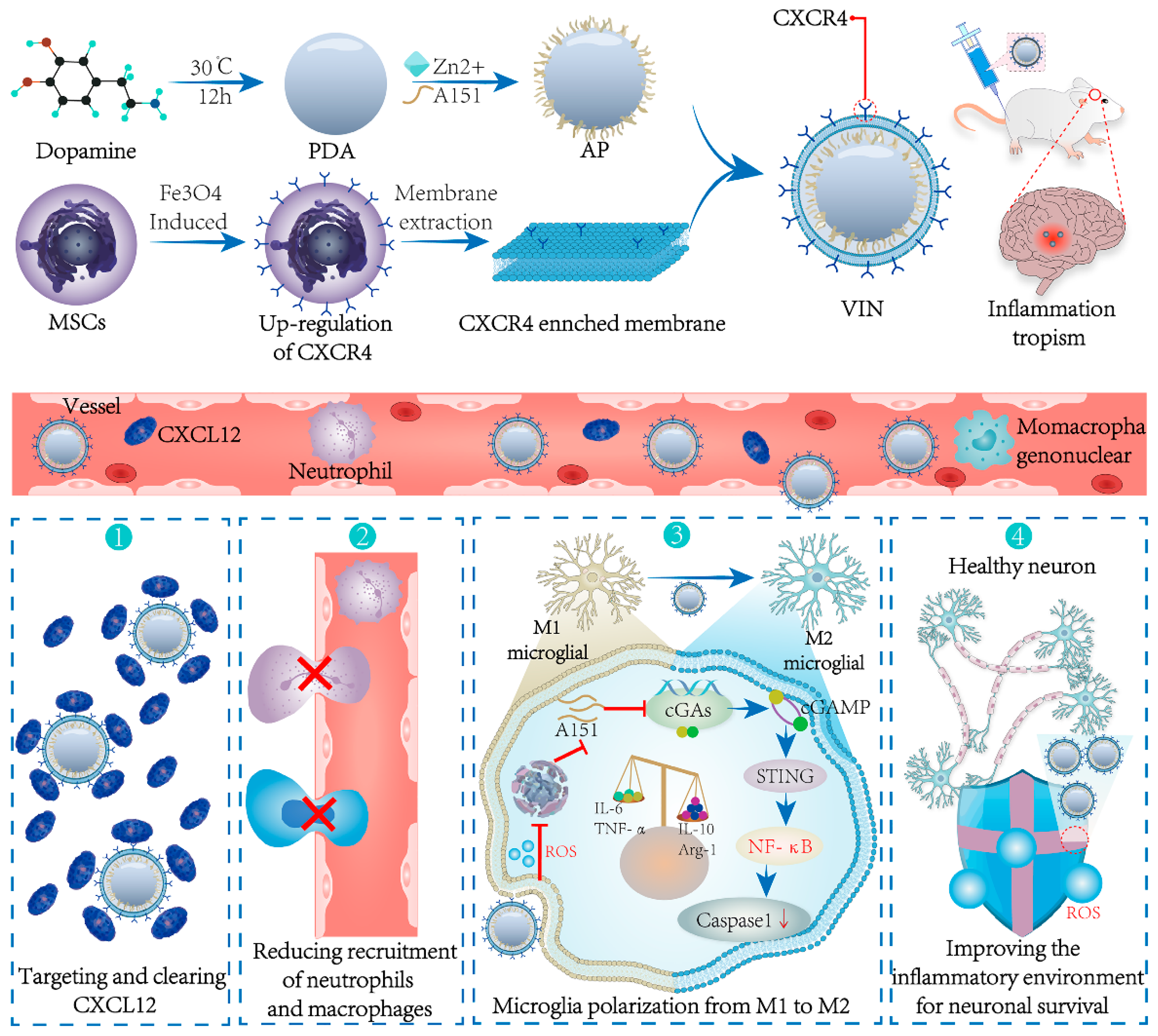 Pharmaceutics 16 00006 g008