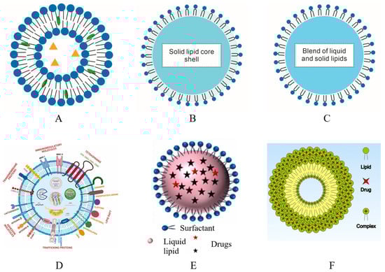 Pharmaceutics 16 00007 g004