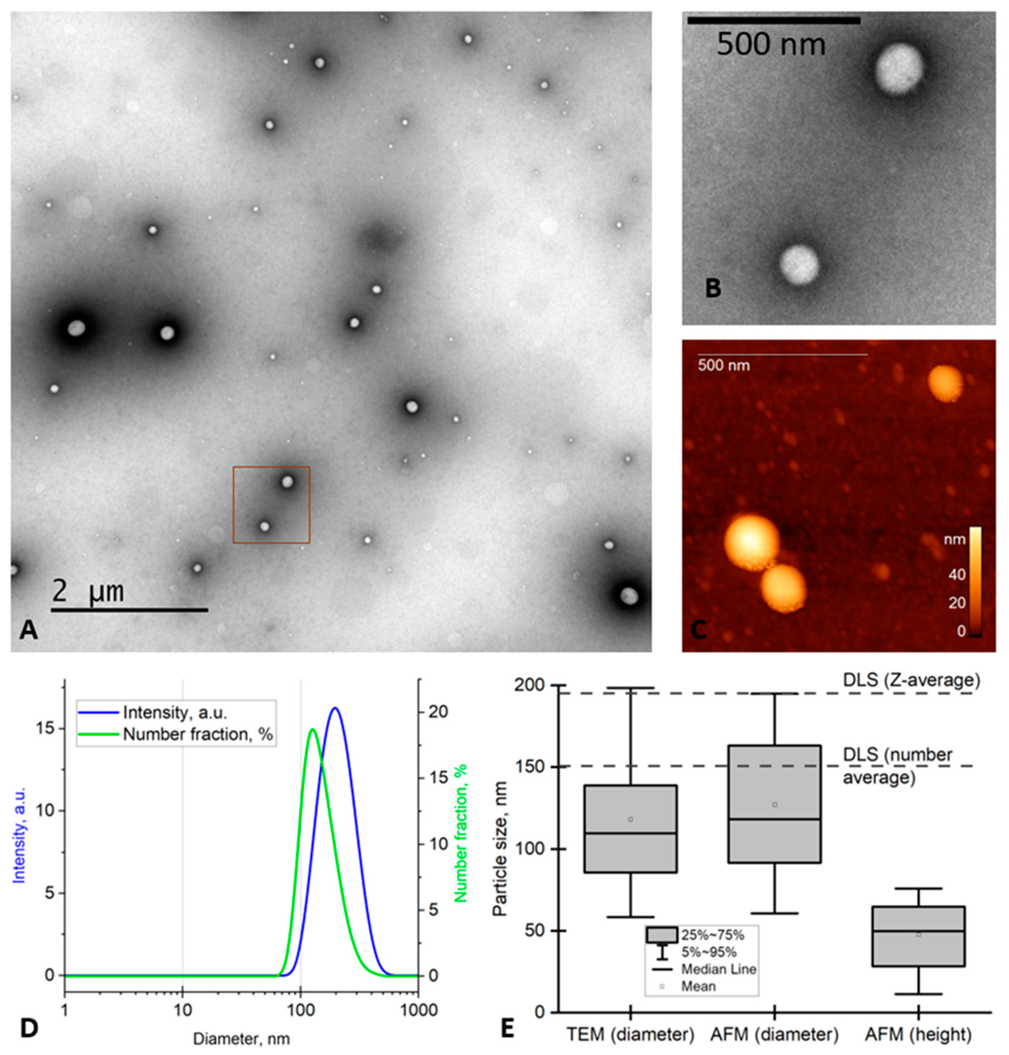 Pharmaceutics 16 00008 g001