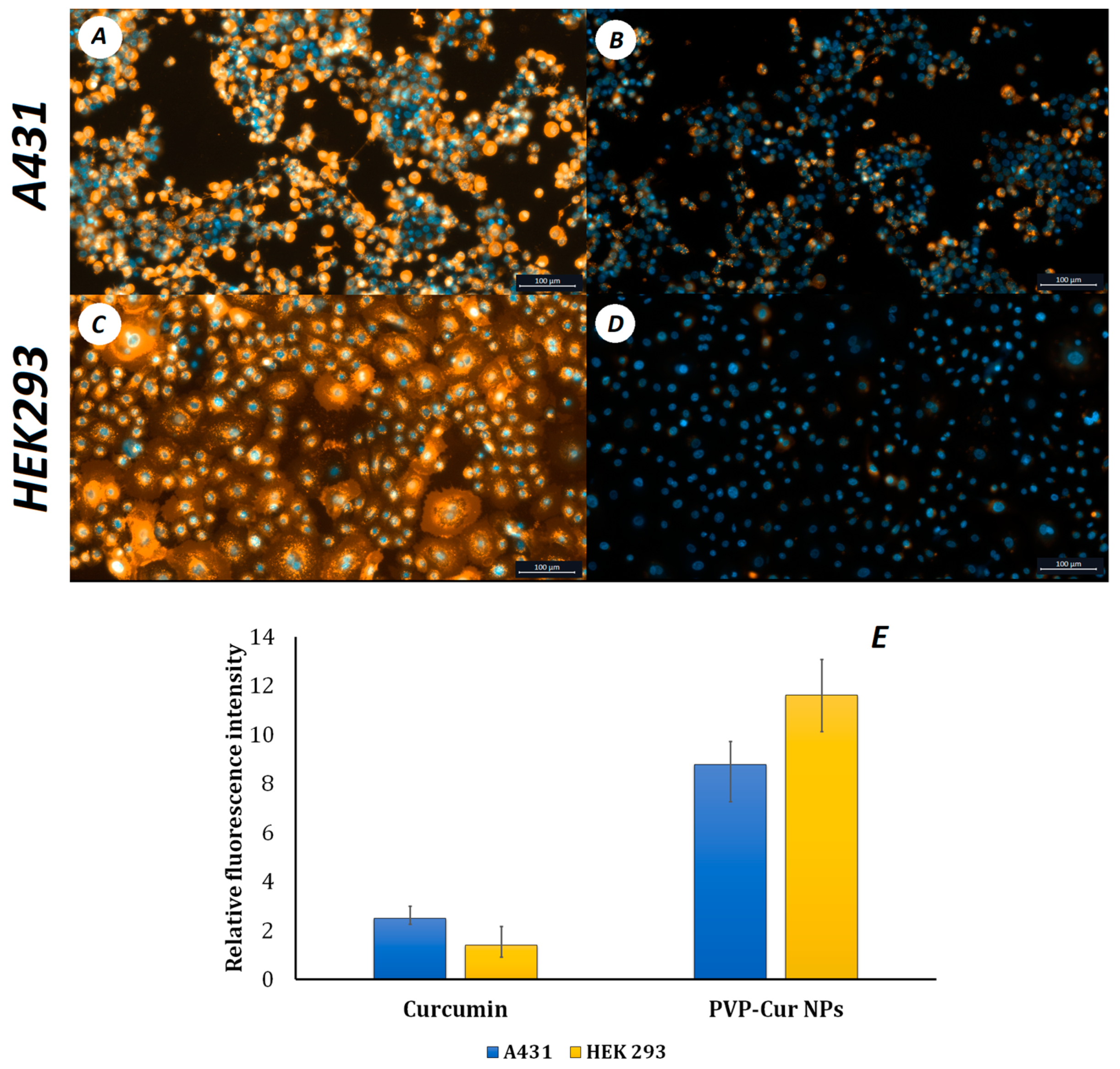 Pharmaceutics 16 00008 g004