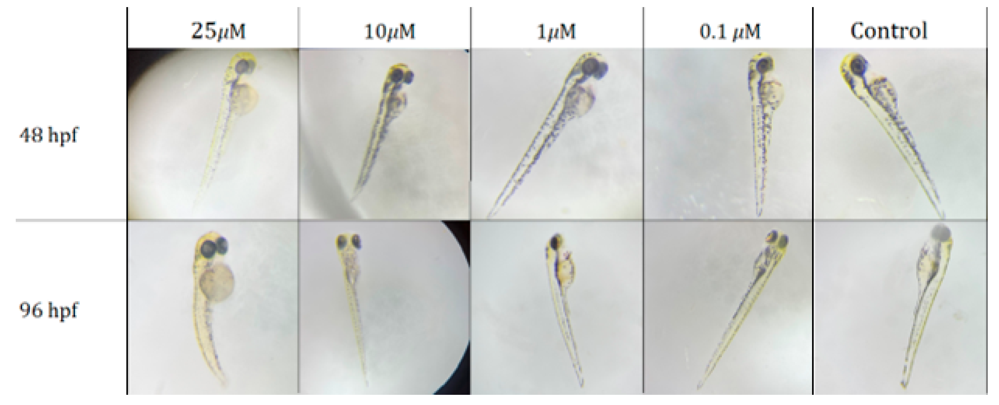 Pharmaceutics 16 00008 g005