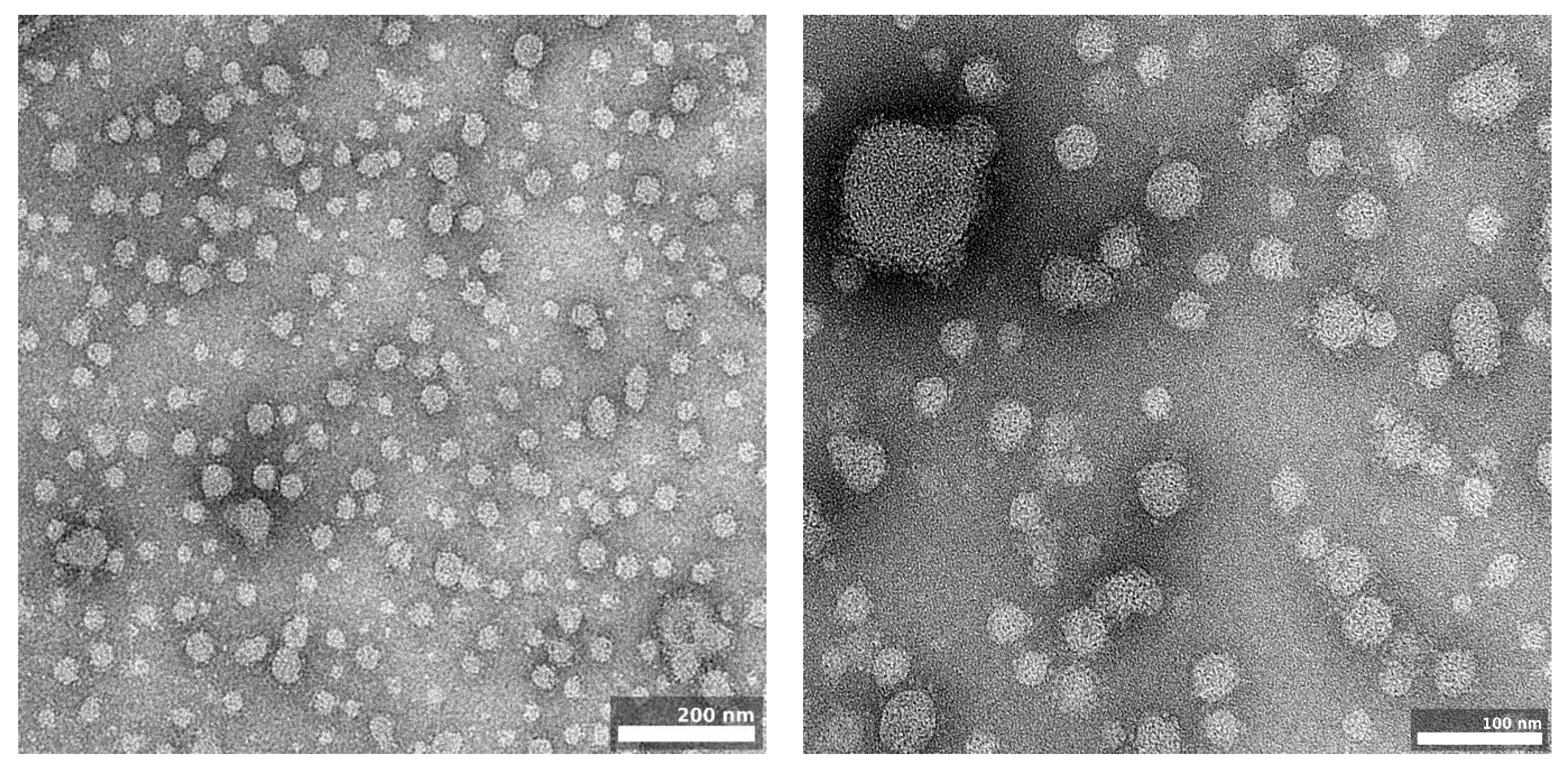 Pharmaceutics 16 00011 g009