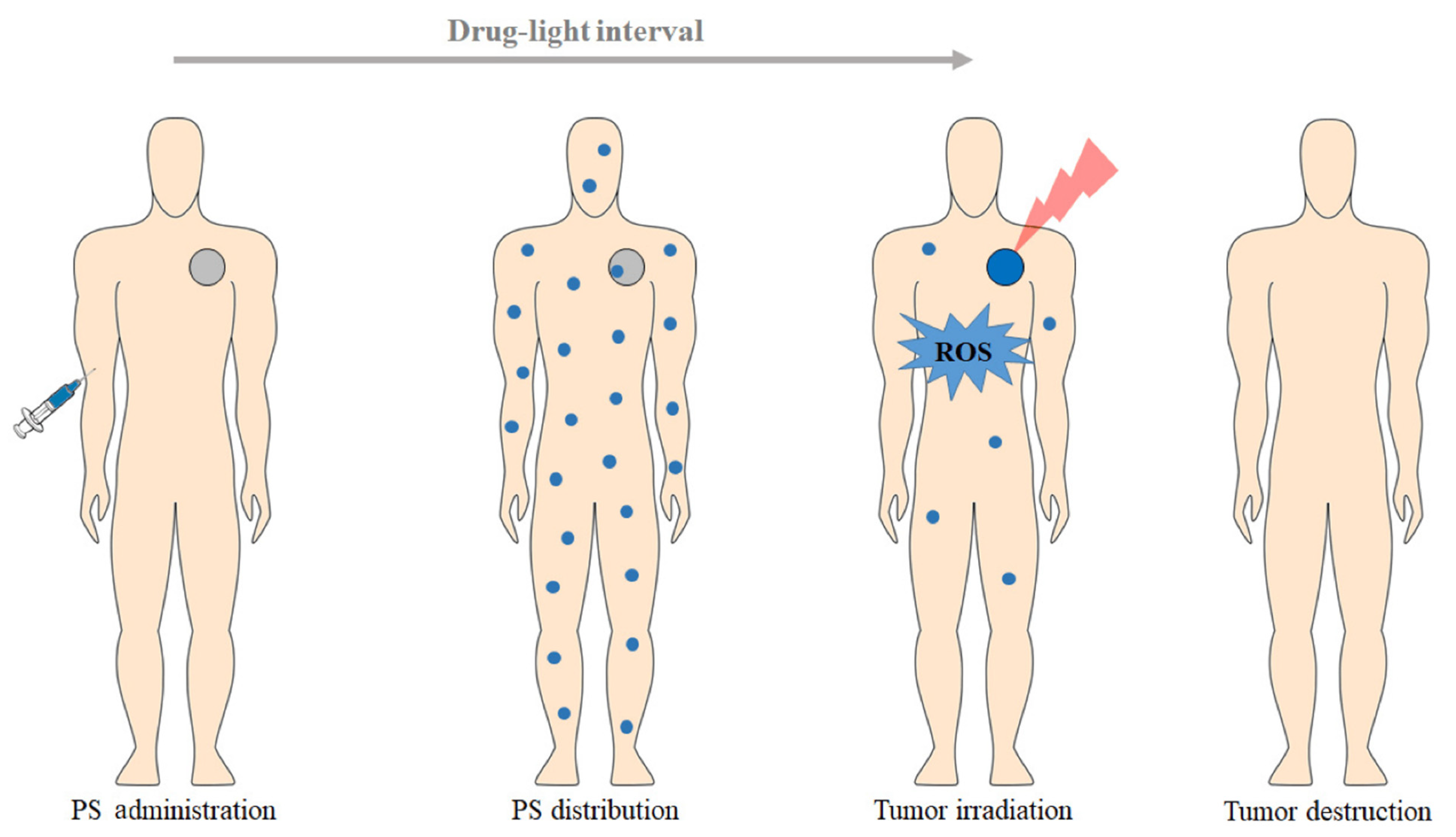 Pharmaceutics 16 00014 g001