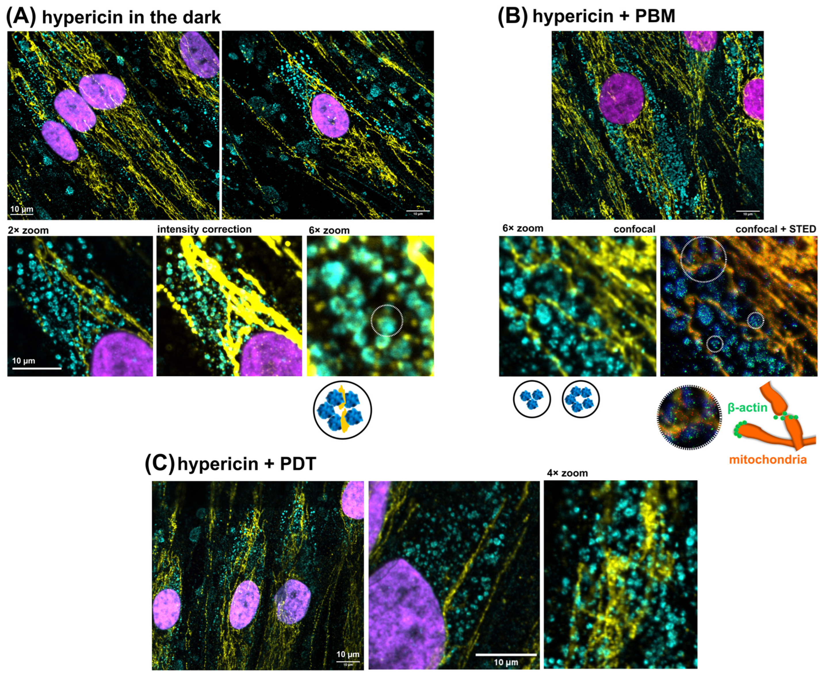 Pharmaceutics 16 00020 g005