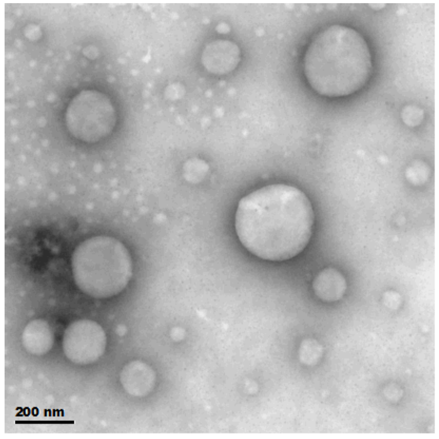 Pharmaceutics 16 00025 g003 Pharmaceutics 16 00025 g003