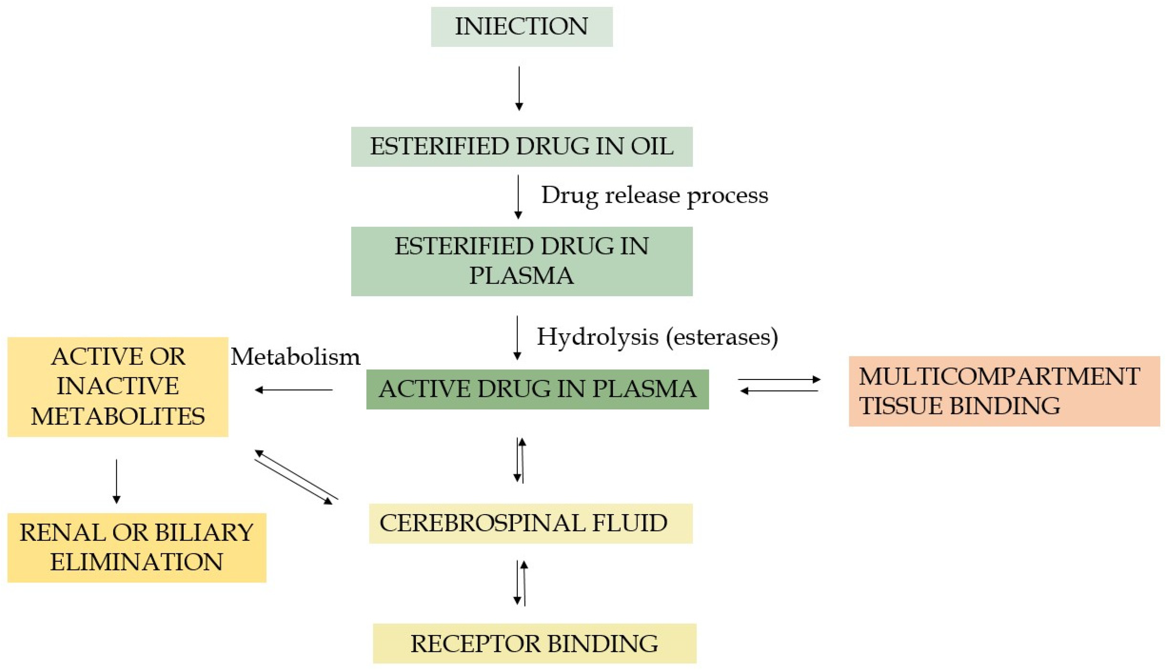 Pharmaceutics 16 00028 g002