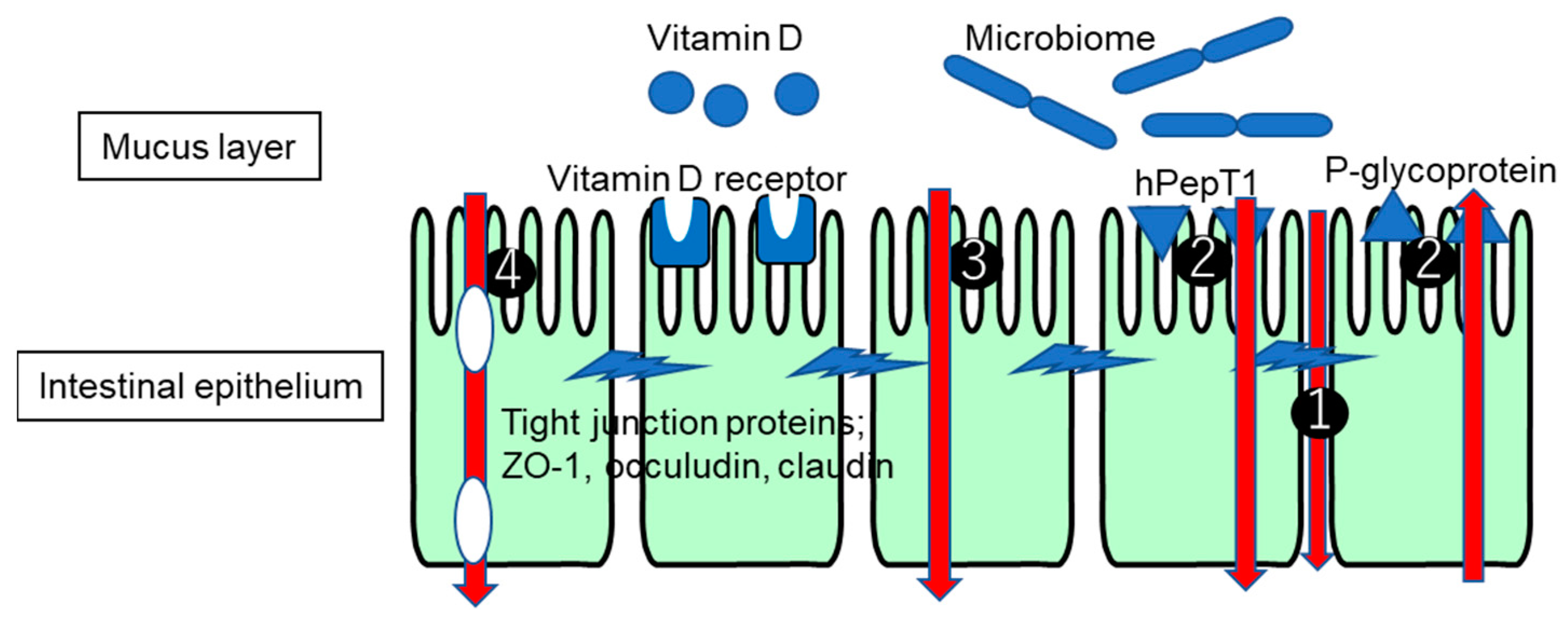 Pharmaceutics 16 00029 g001