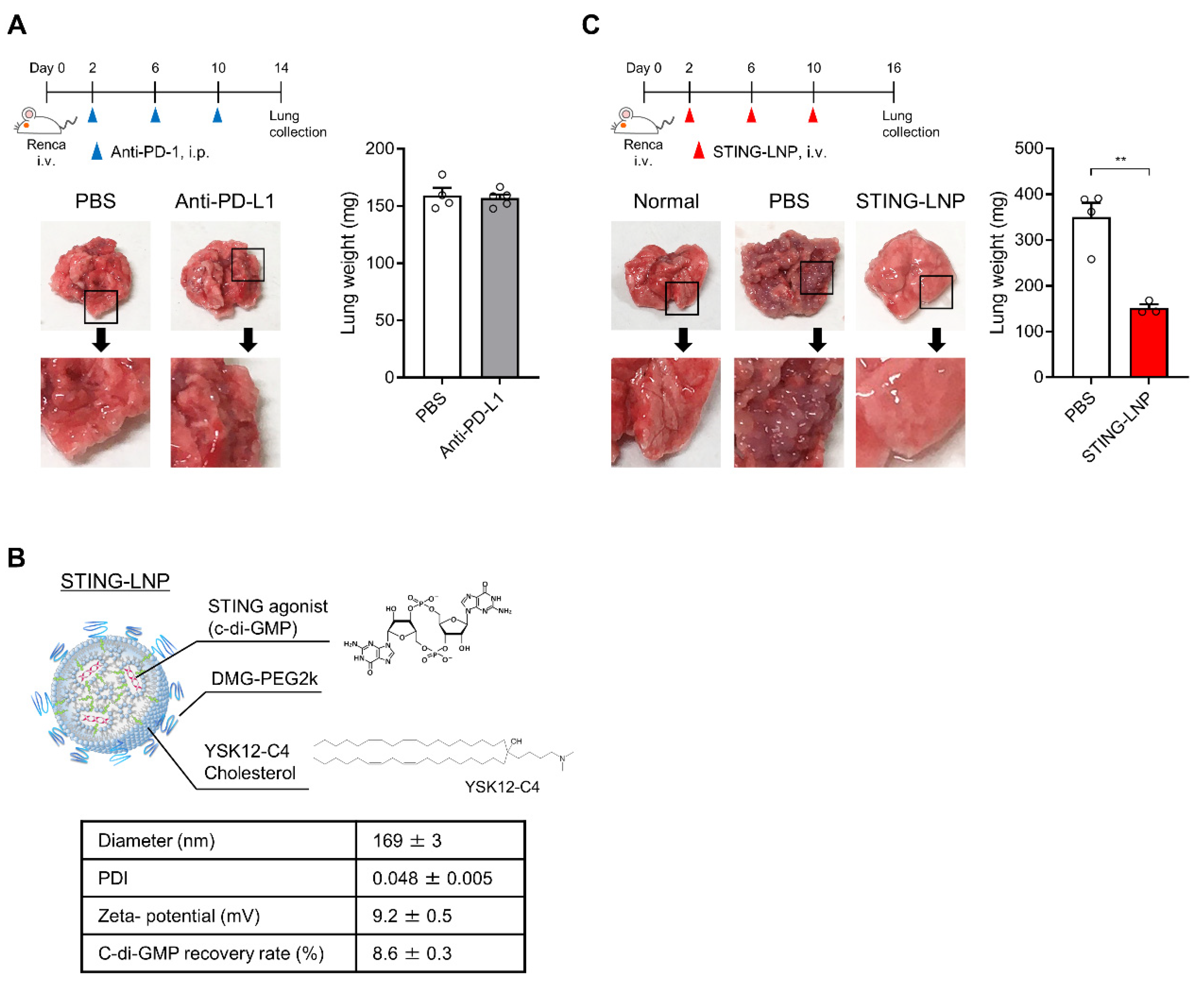 Pharmaceutics 16 00031 g001