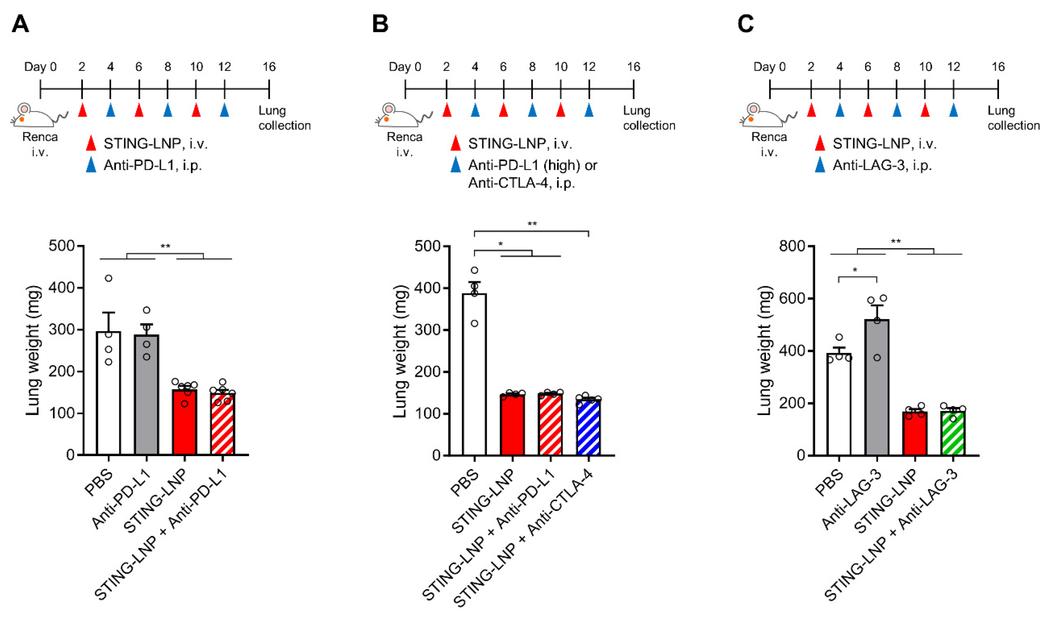 Pharmaceutics 16 00031 g003