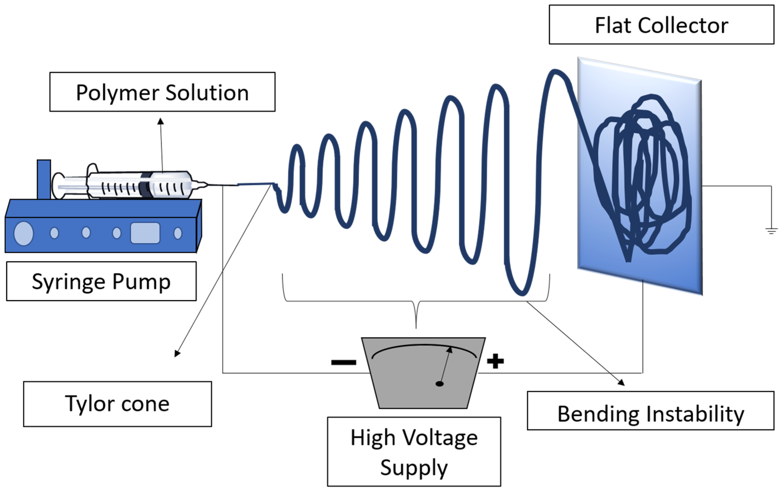 Pharmaceutics 16 00032 g001