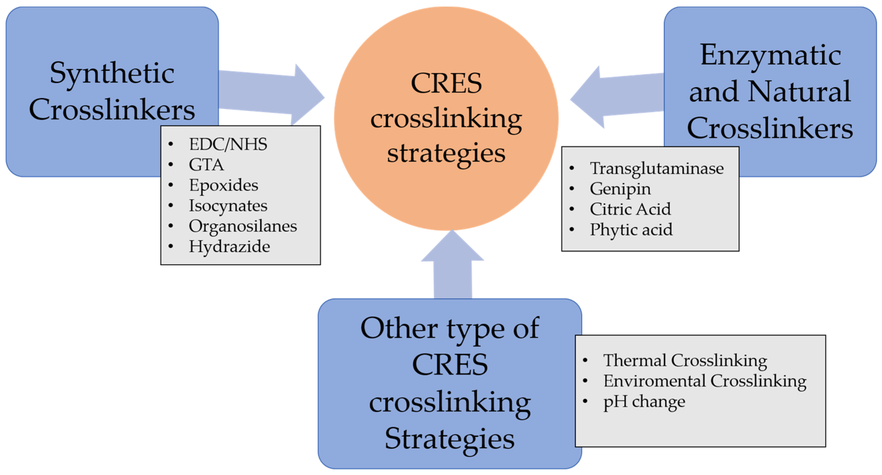 Pharmaceutics 16 00032 g004