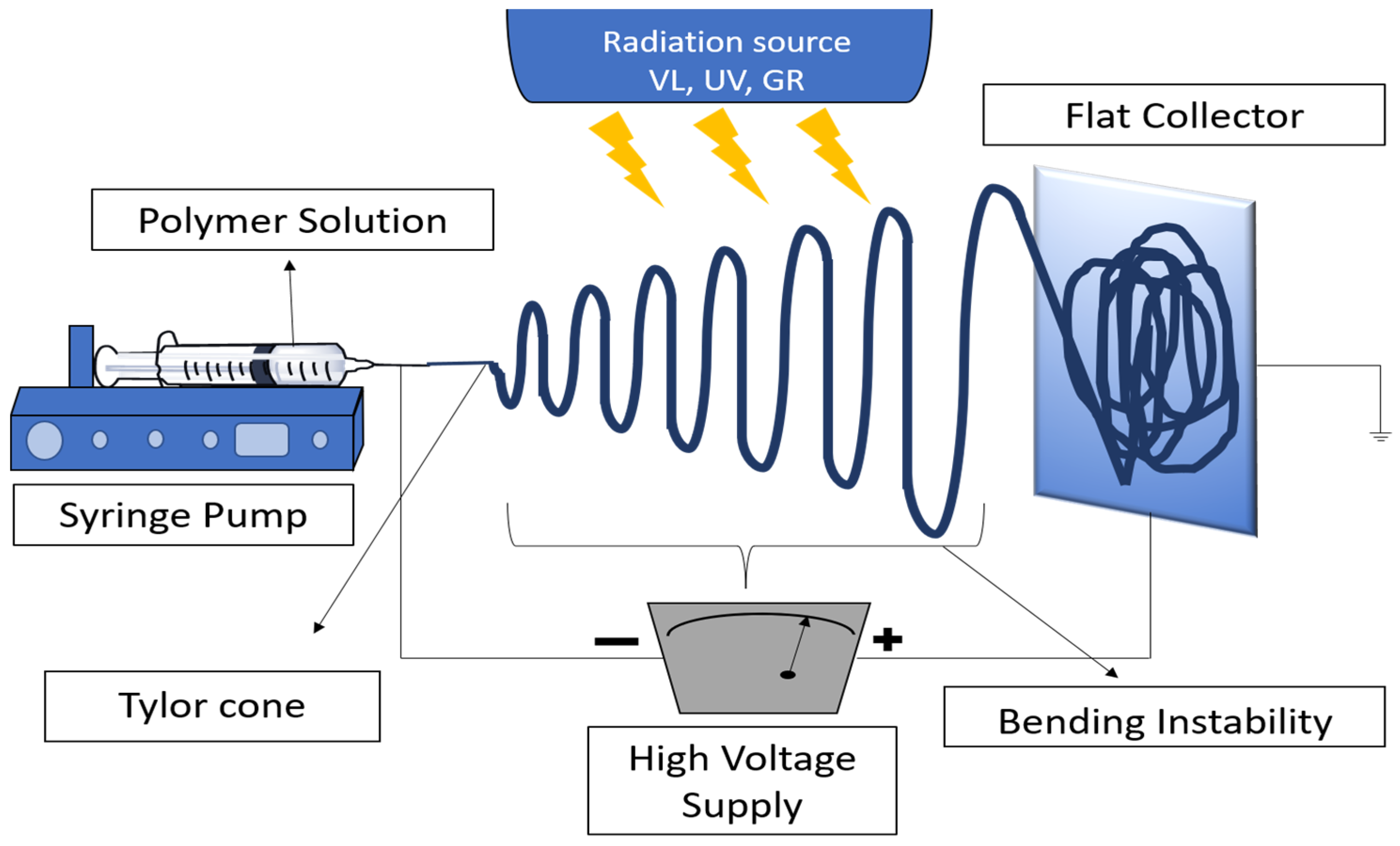 Pharmaceutics 16 00032 g005