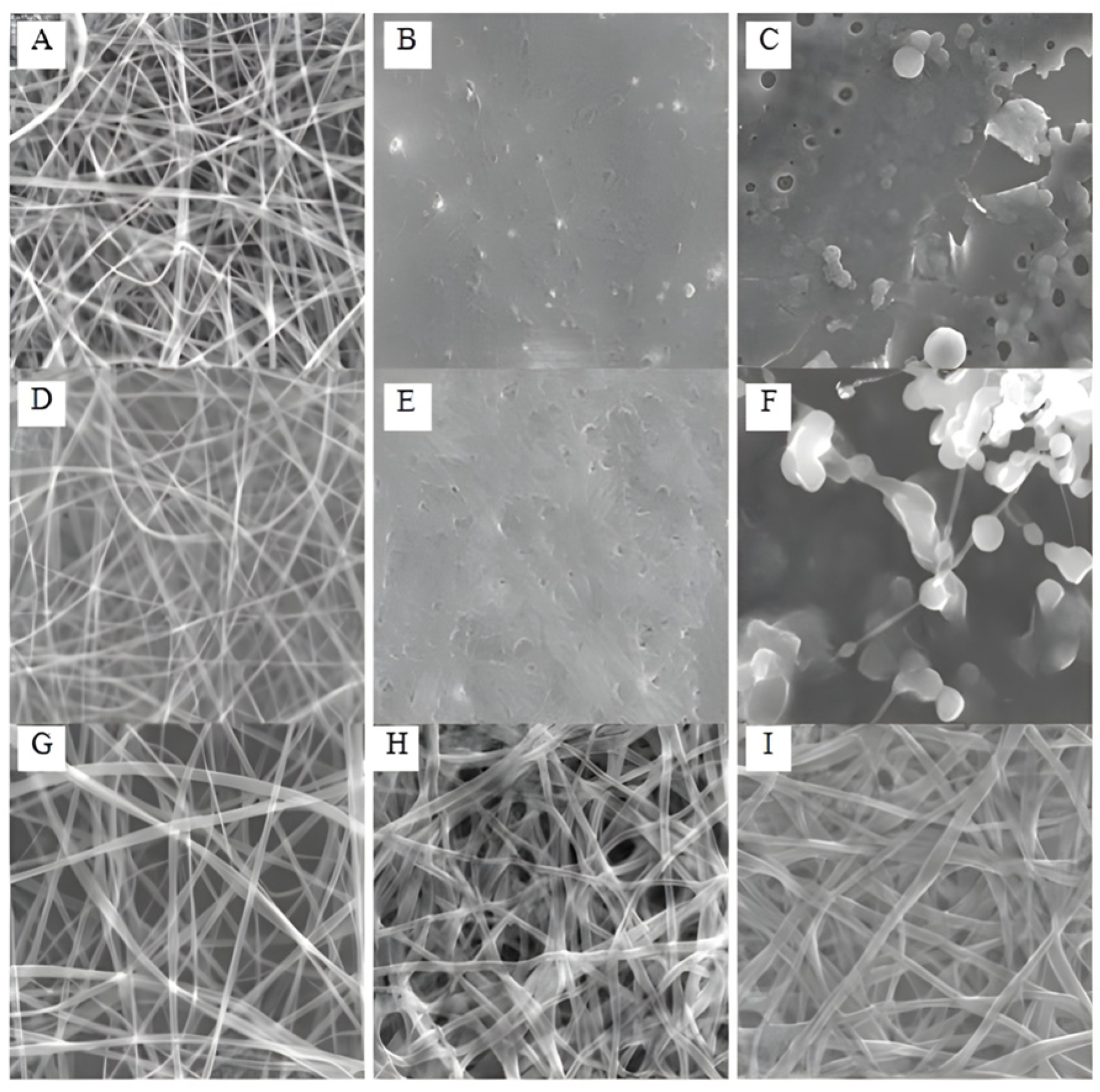 Pharmaceutics 16 00032 g008