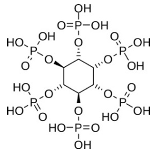 Pharmaceutics 16 00032 i011
