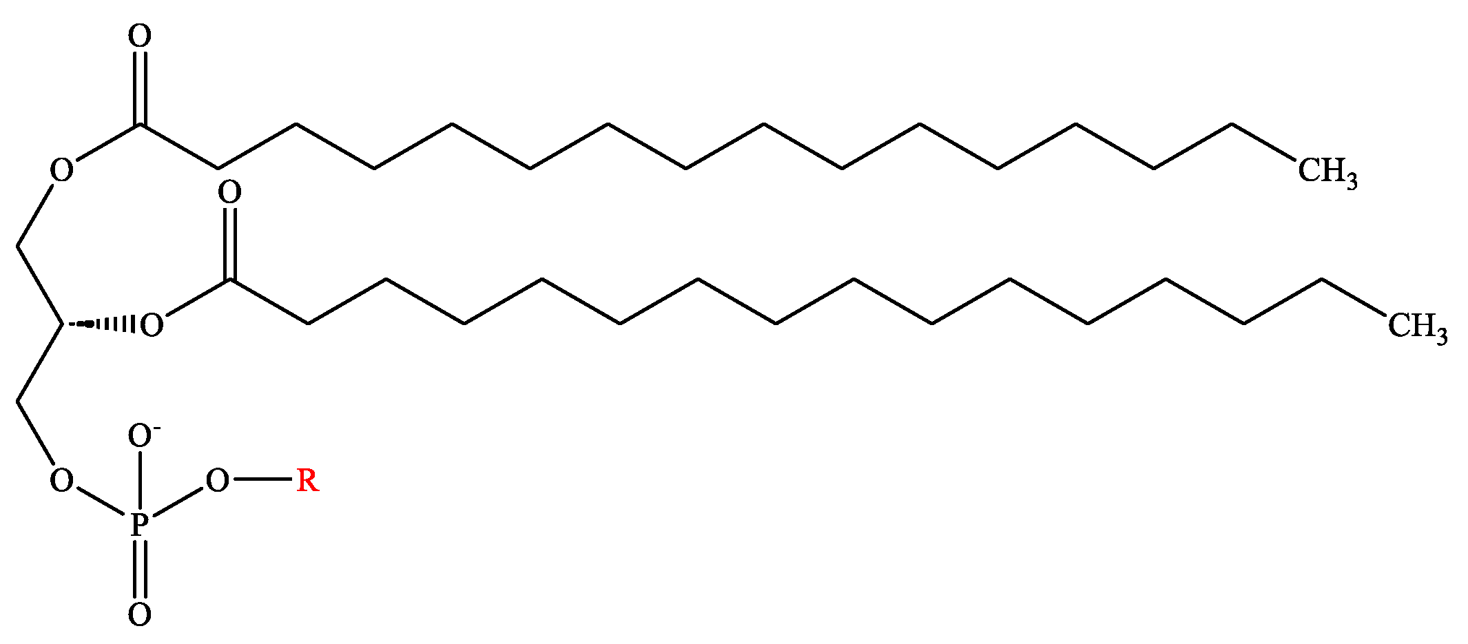 Pharmaceutics 16 00034 g001