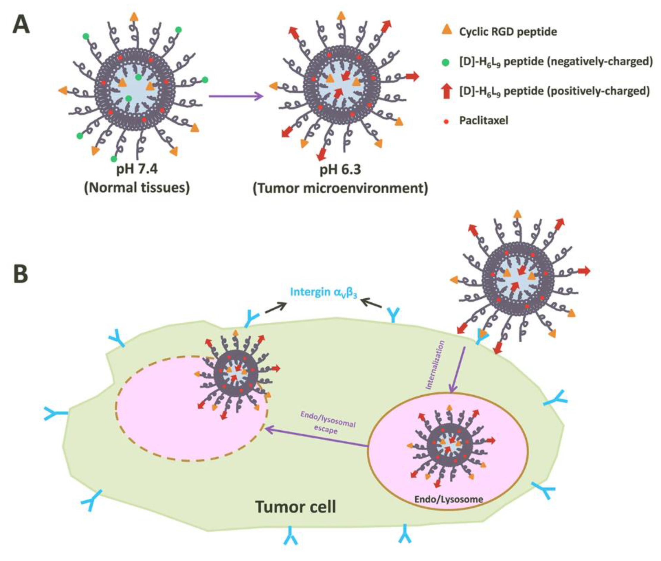 Pharmaceutics 16 00034 g008