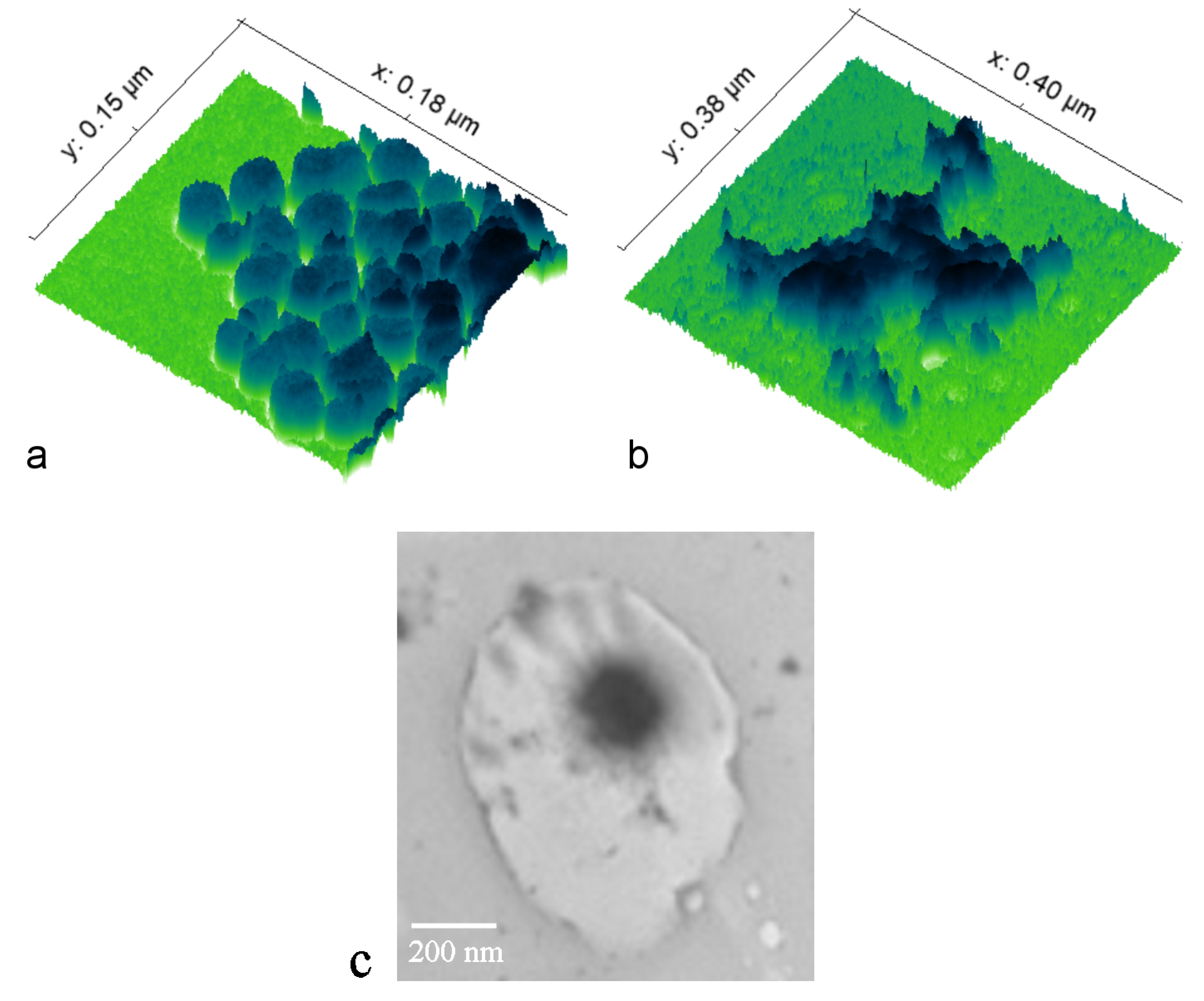 Pharmaceutics 16 00039 g001