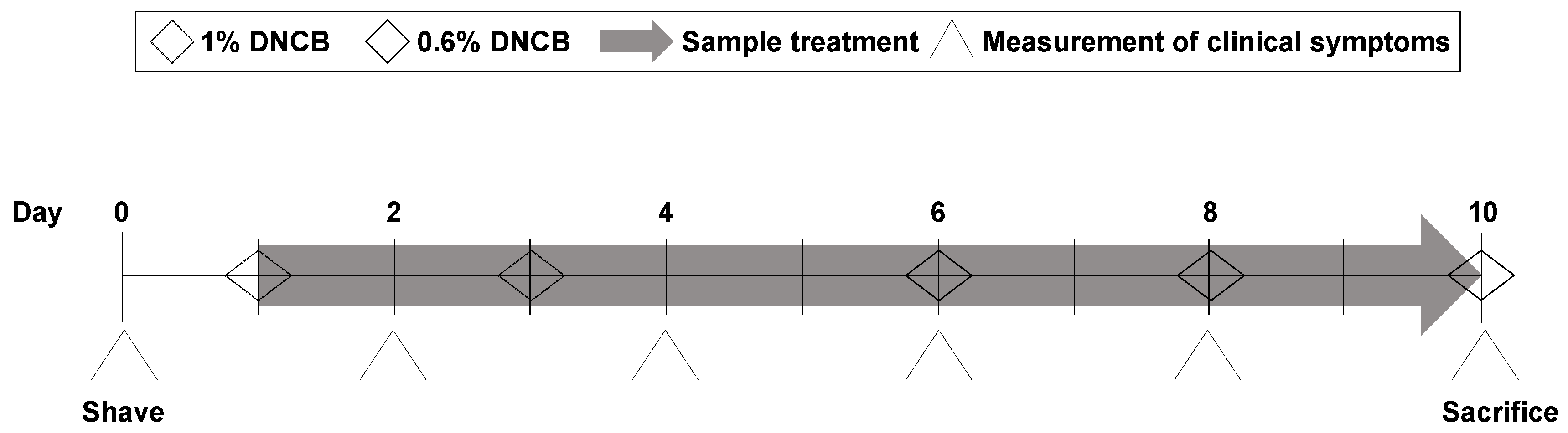 Pharmaceutics 16 00040 g001